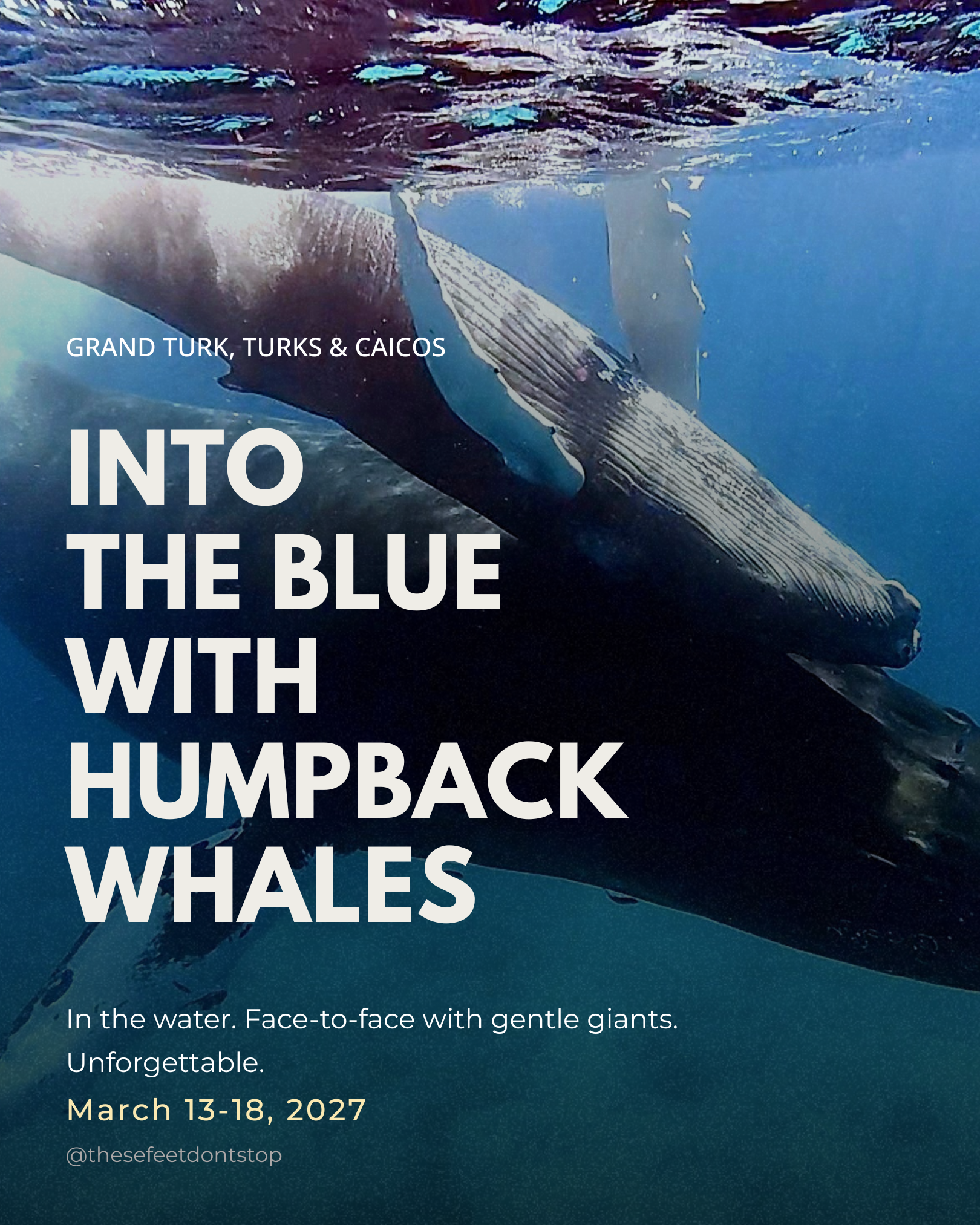 2027 GRAND TURK WHALE ENCOUNTER - MARCH 13-18