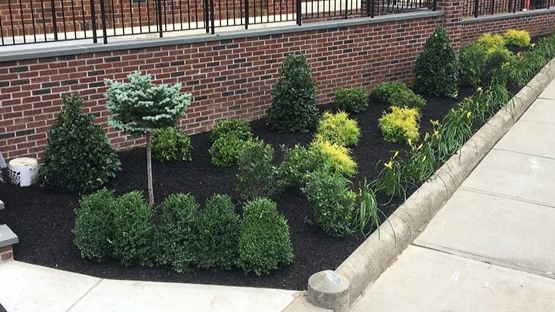 Commercial lawn maintenance and landscape service in the Greensboro Triad area