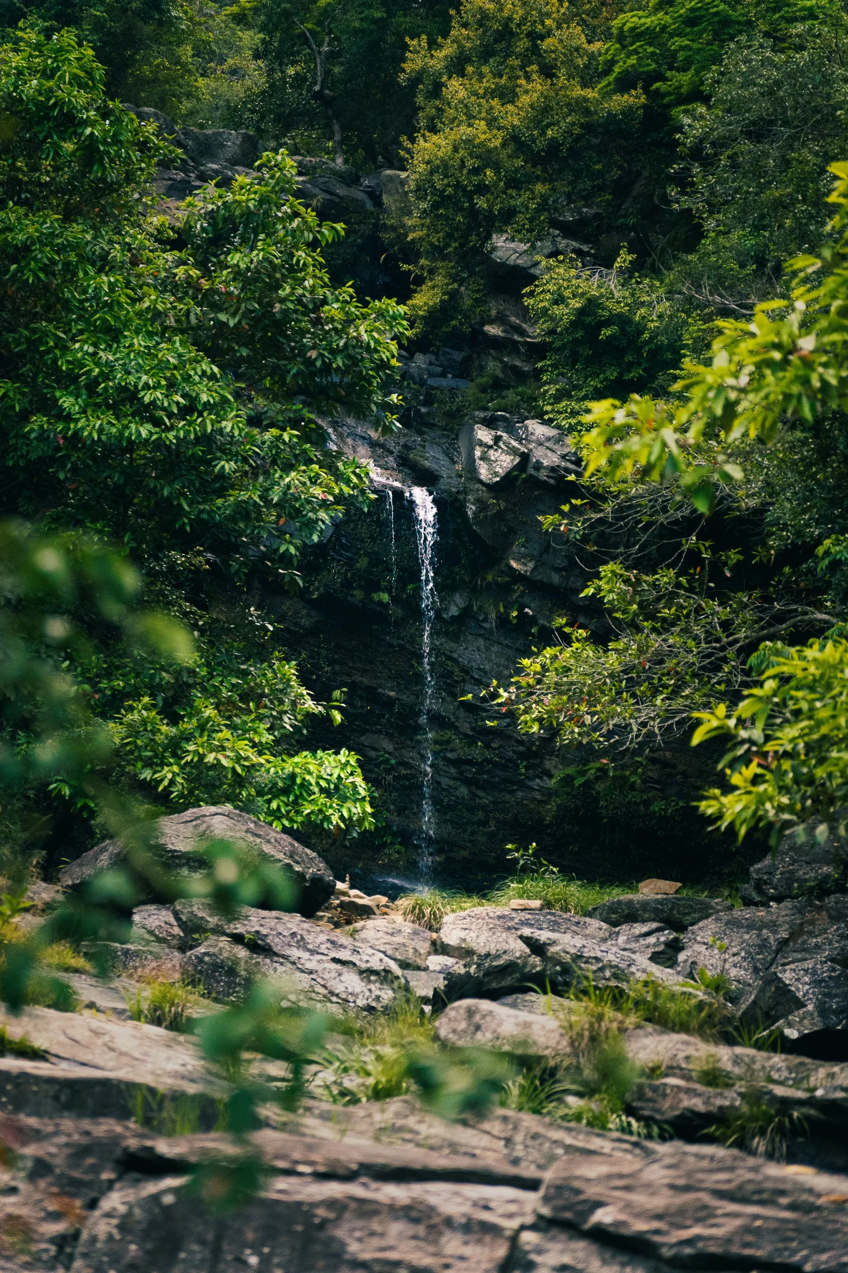 _DSC6002-web.jpg