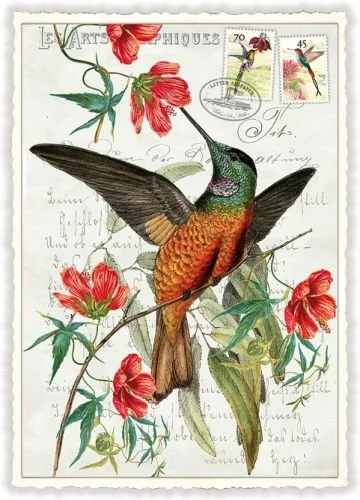 Notes & Queries Cards