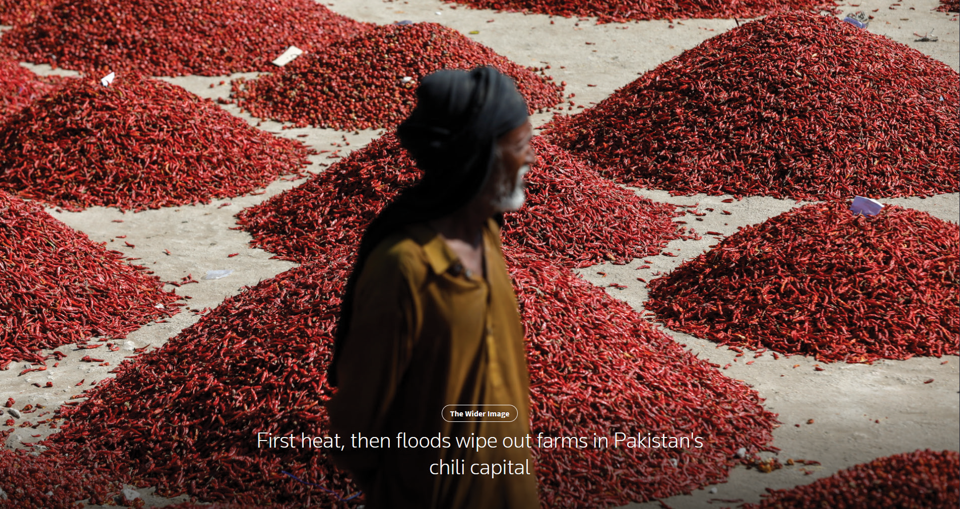 A person walking past large piles of red chili peppers drying on the ground in Pakistan's chili capital during a heatwave.