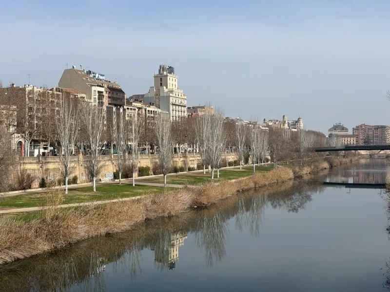 Cityscape with buildings along a river, leafless trees lining a walkway, and a bridge in the distance.