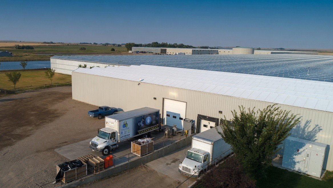 A large commercial greenhouse with the TechMist truck parked into its loading bay ready to be disinfected.