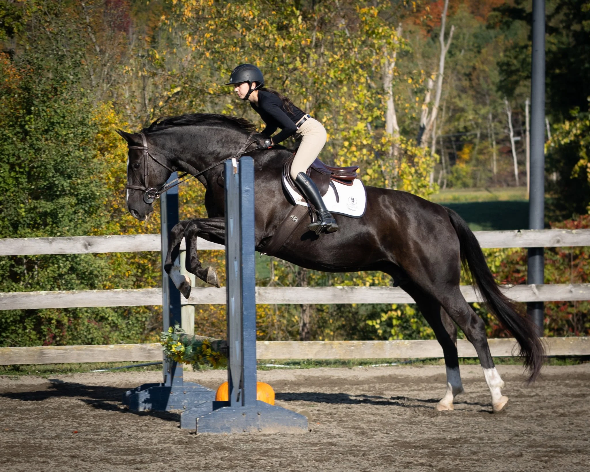 A woman riding a dark brown horse during competition, jumping over an obstacle with a pumpkin at its base, in an outdoor arena surrounded by autumn trees.