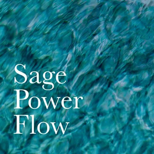 Sage Power Flow