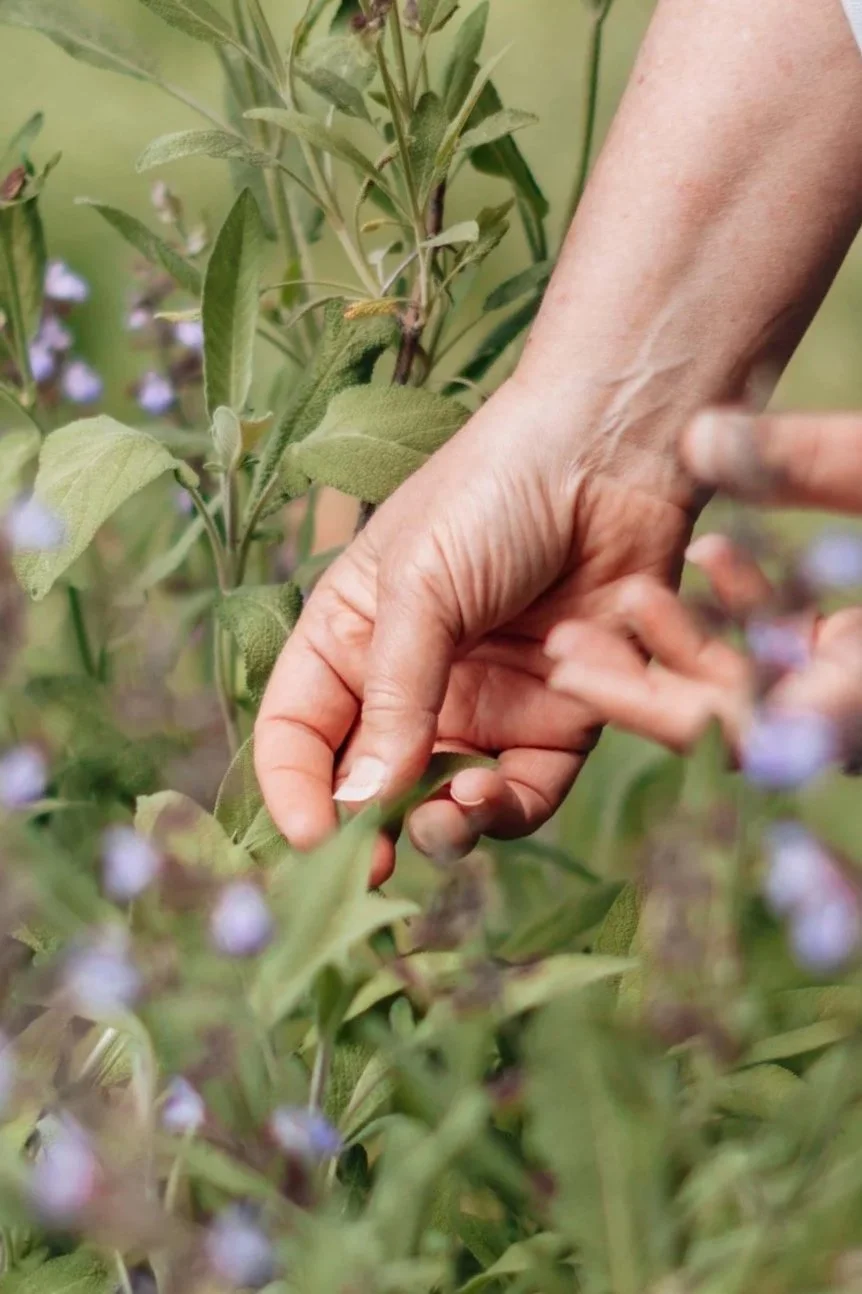 Creative Presence: Crafting Tools for Everyday Mindfulness