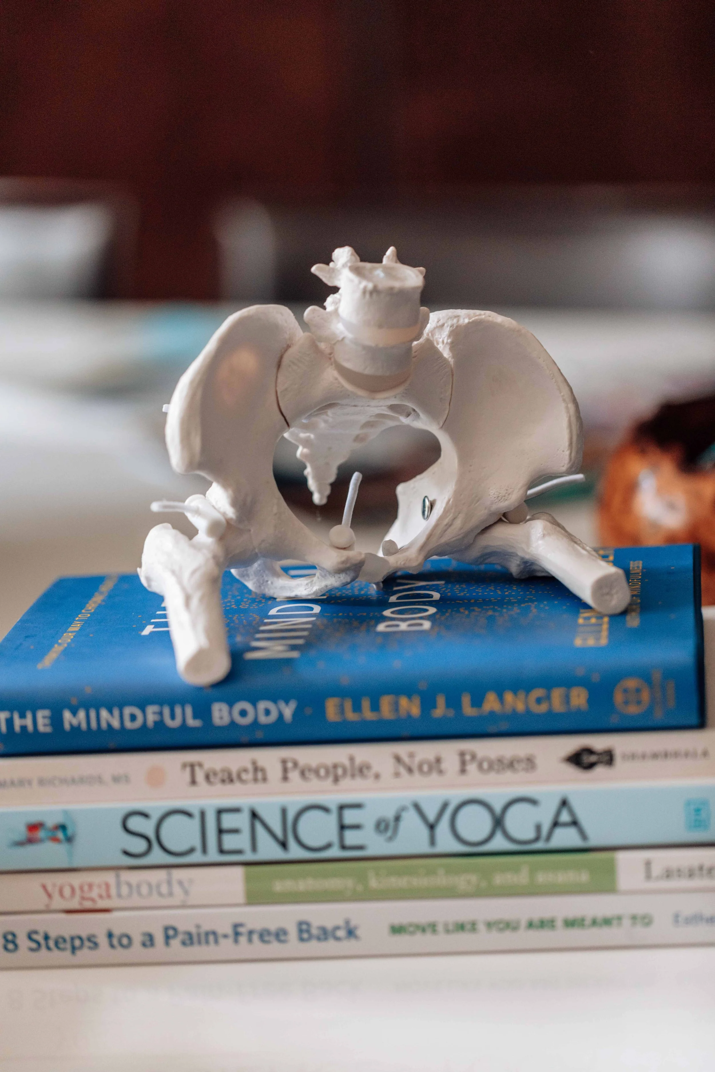 A small white anatomical model of a human pelvis with a lumbar vertebra on top of it, placed on a stack of books about yoga, science, and health.