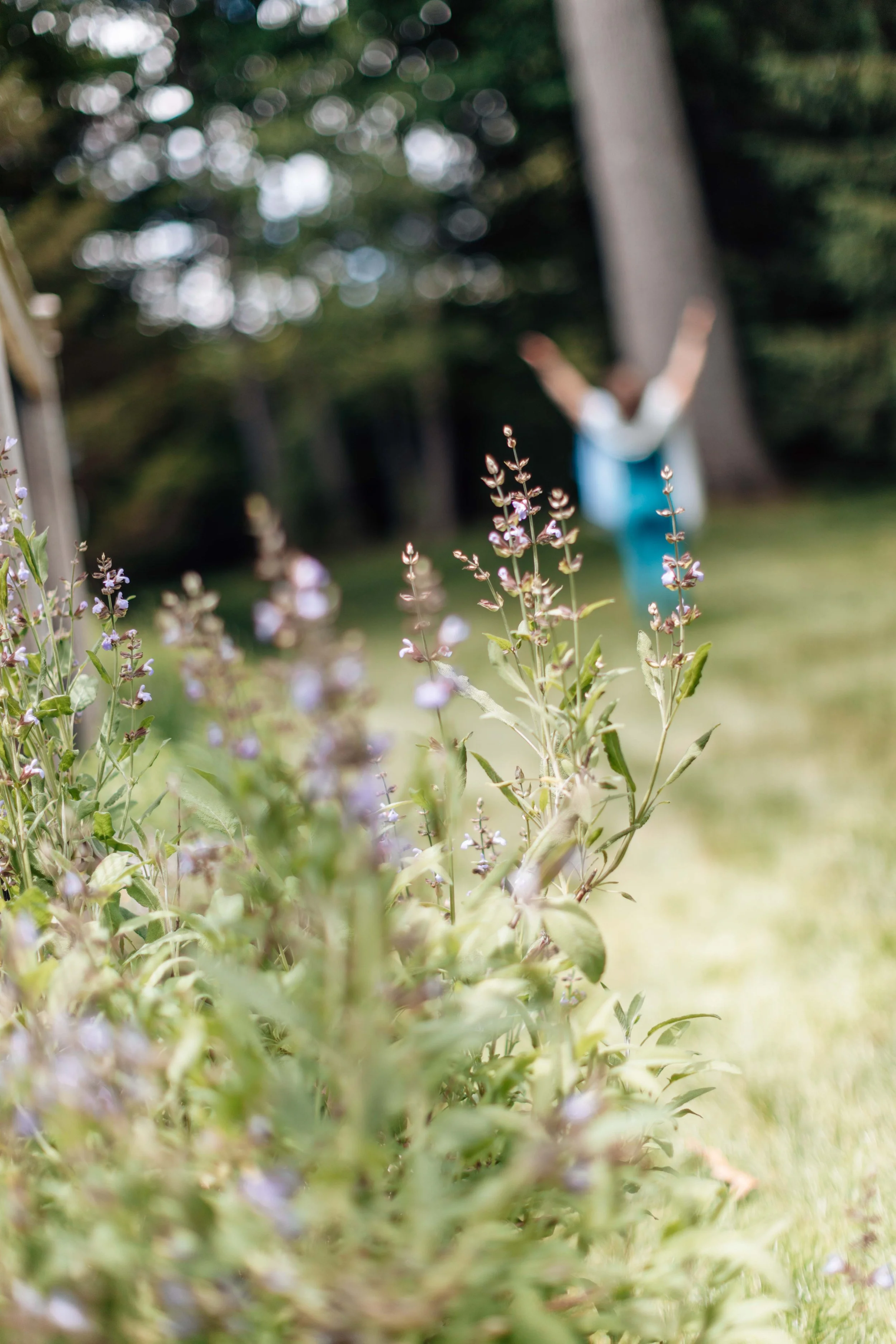 Close-up of purple flowers and green leaves in the foreground with a blurry background showing a person raising arms near a tree in a park or garden.