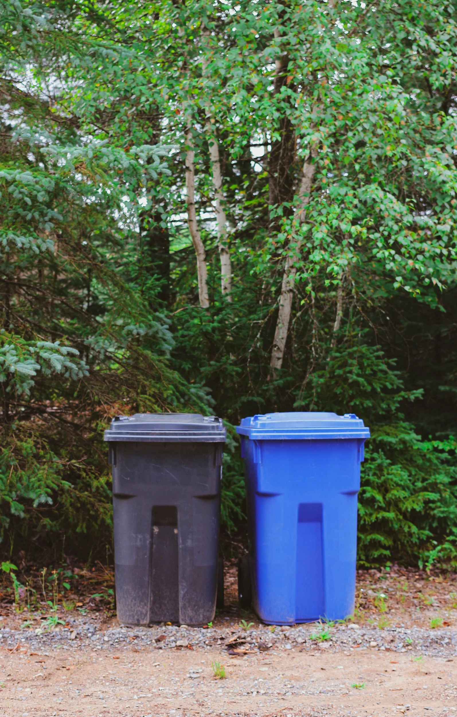 A black trash bin and a blue recycling bin placed side by side outdoors on a dirt and gravel ground, with green trees and foliage in the background.