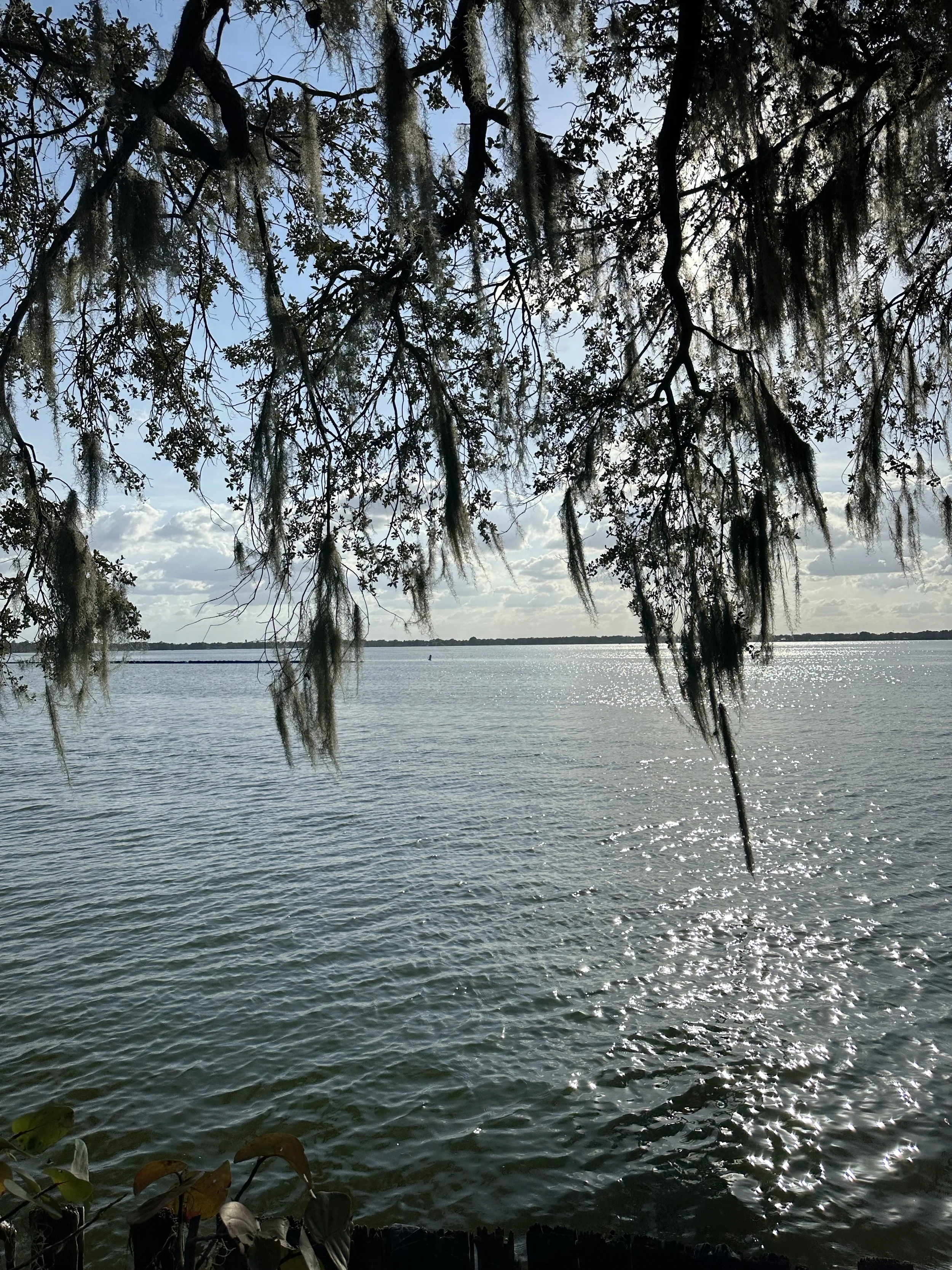 IMG_8011.jpeg