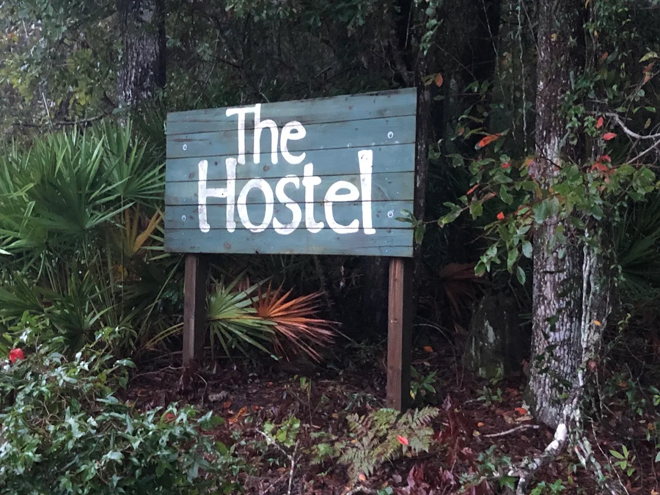 hostel 6.webp