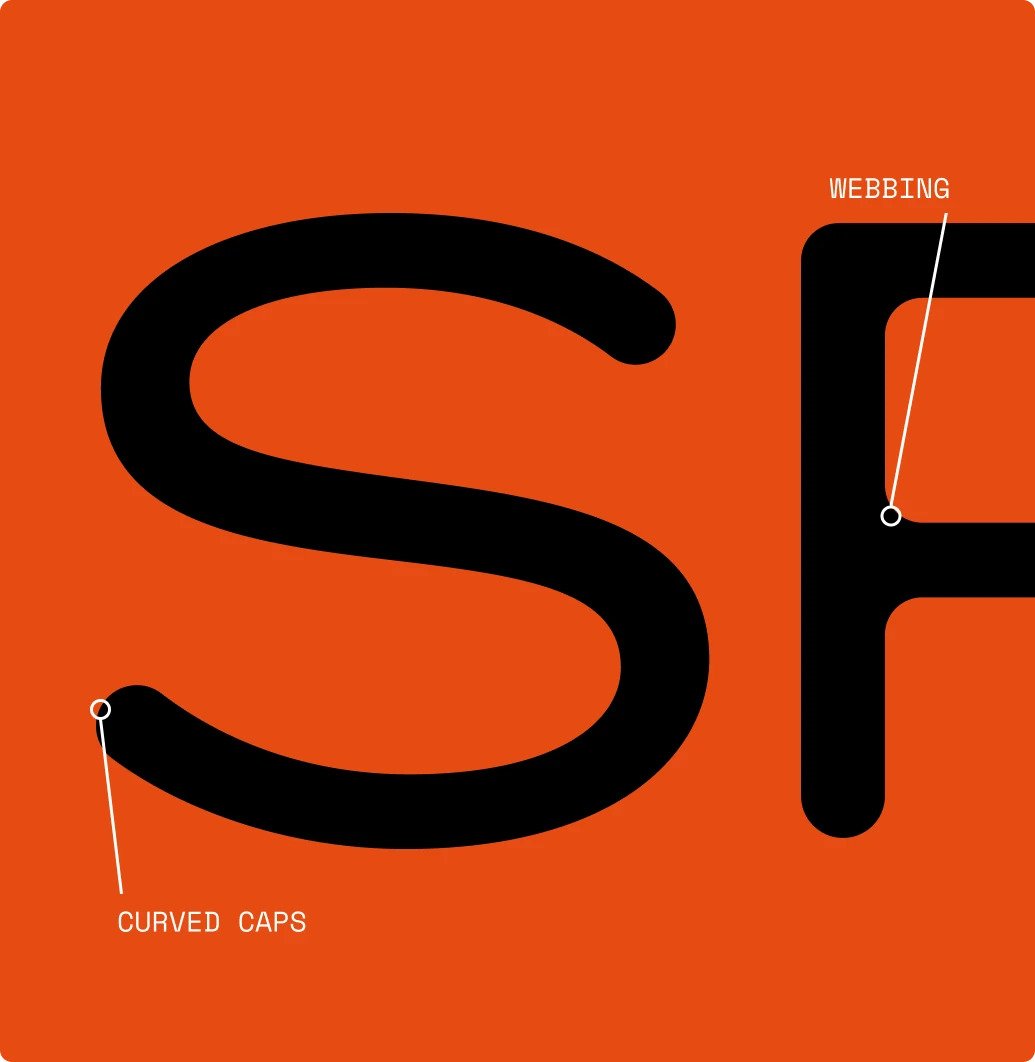 Close-up of large black letter 'S' with curved caps and letter 'F' with webbing on a bright orange background.