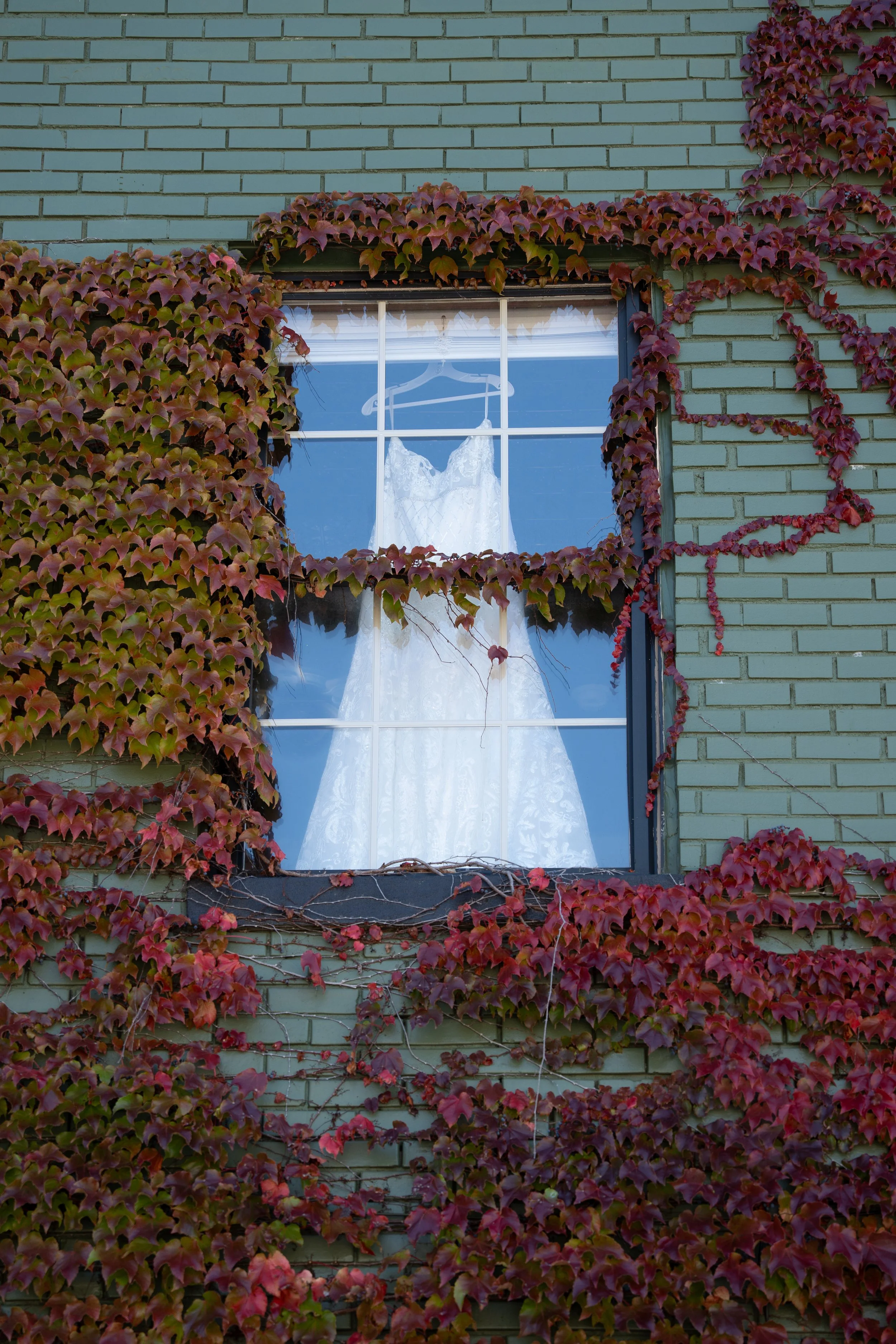 A window on a green brick building with creeping red ivy leaves, and a white wedding dress hanging inside.