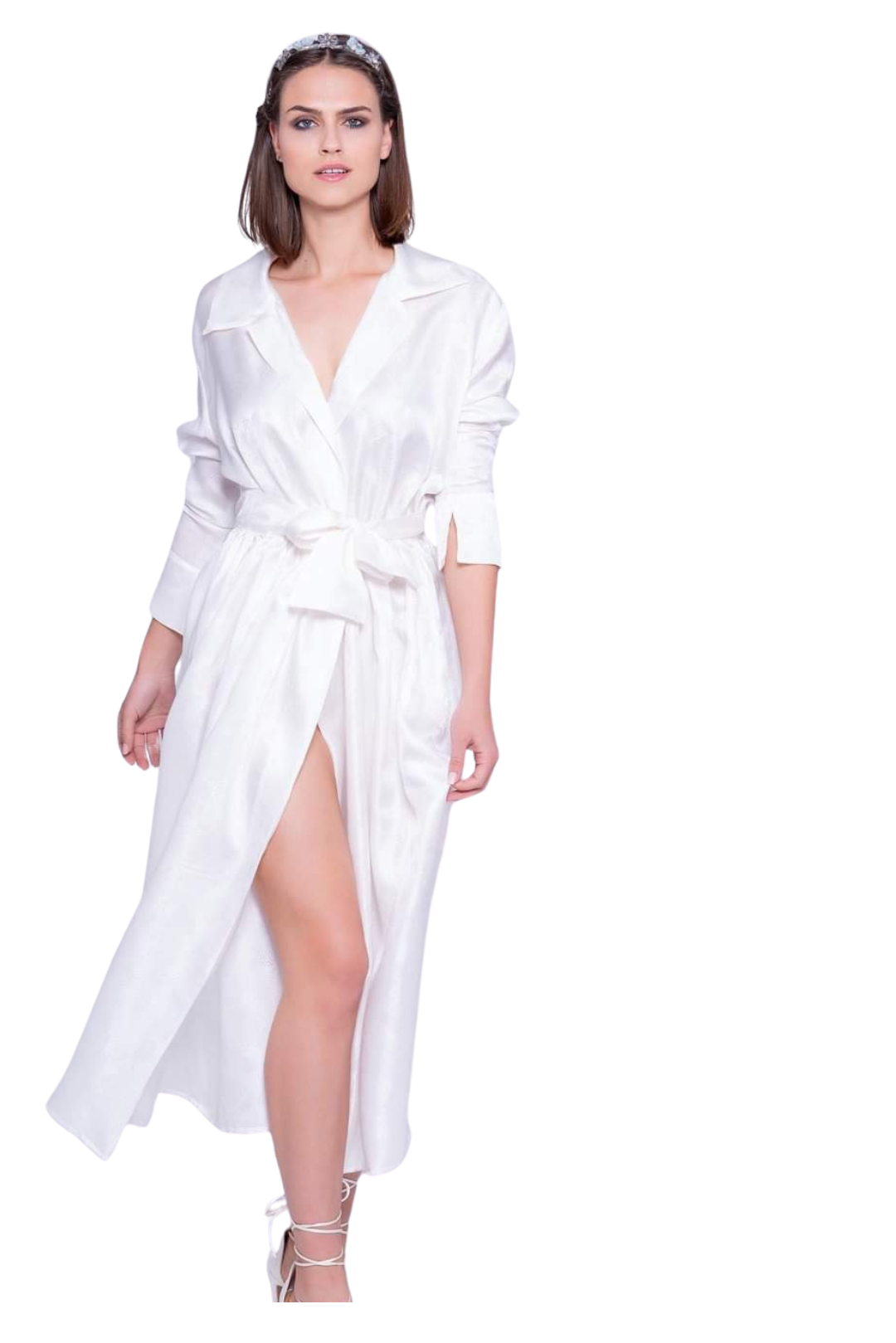 Silk DressTHE HISTORICAL WITNESS