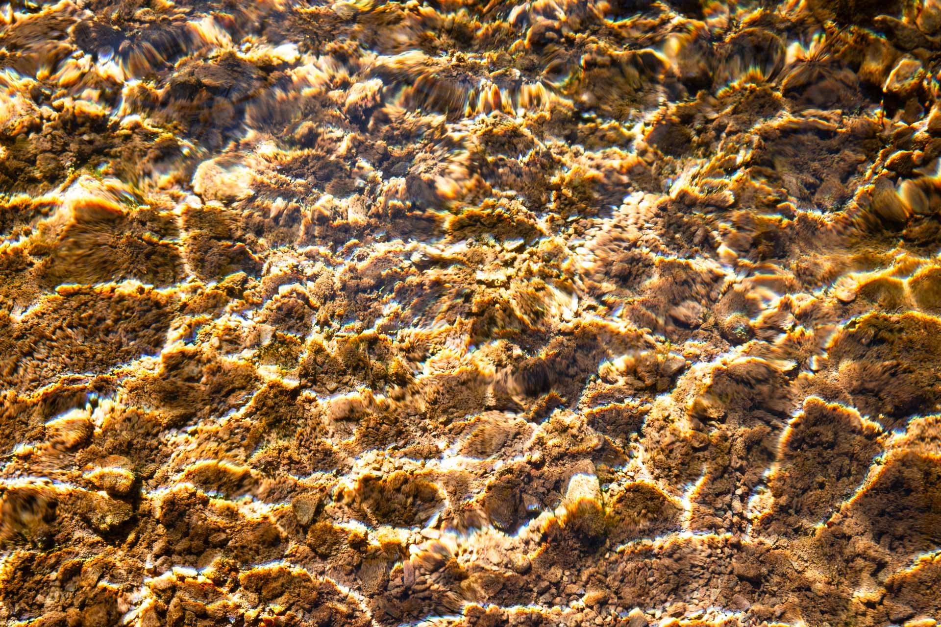 Taurus-Mountains-Farm_Laurenz_0690.jpg