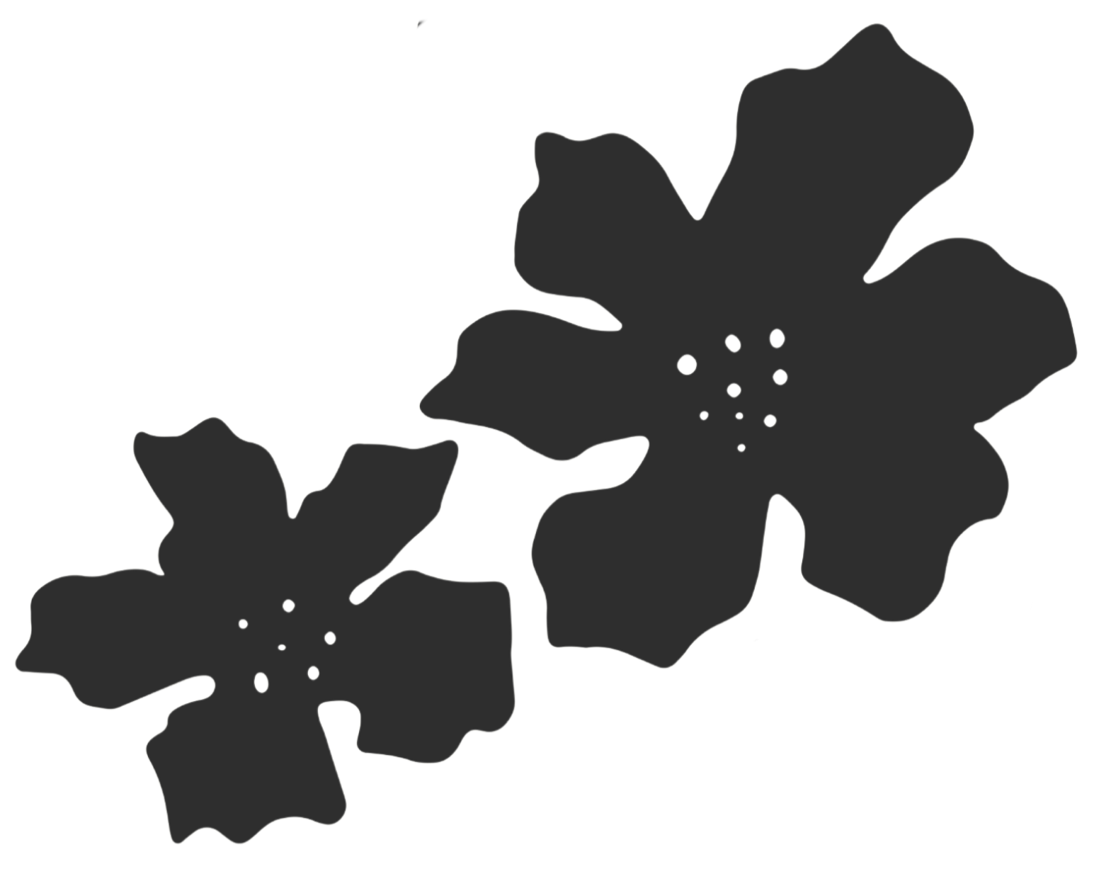 Black silhouette of three flowers with large petals and small central details on a transparent background.