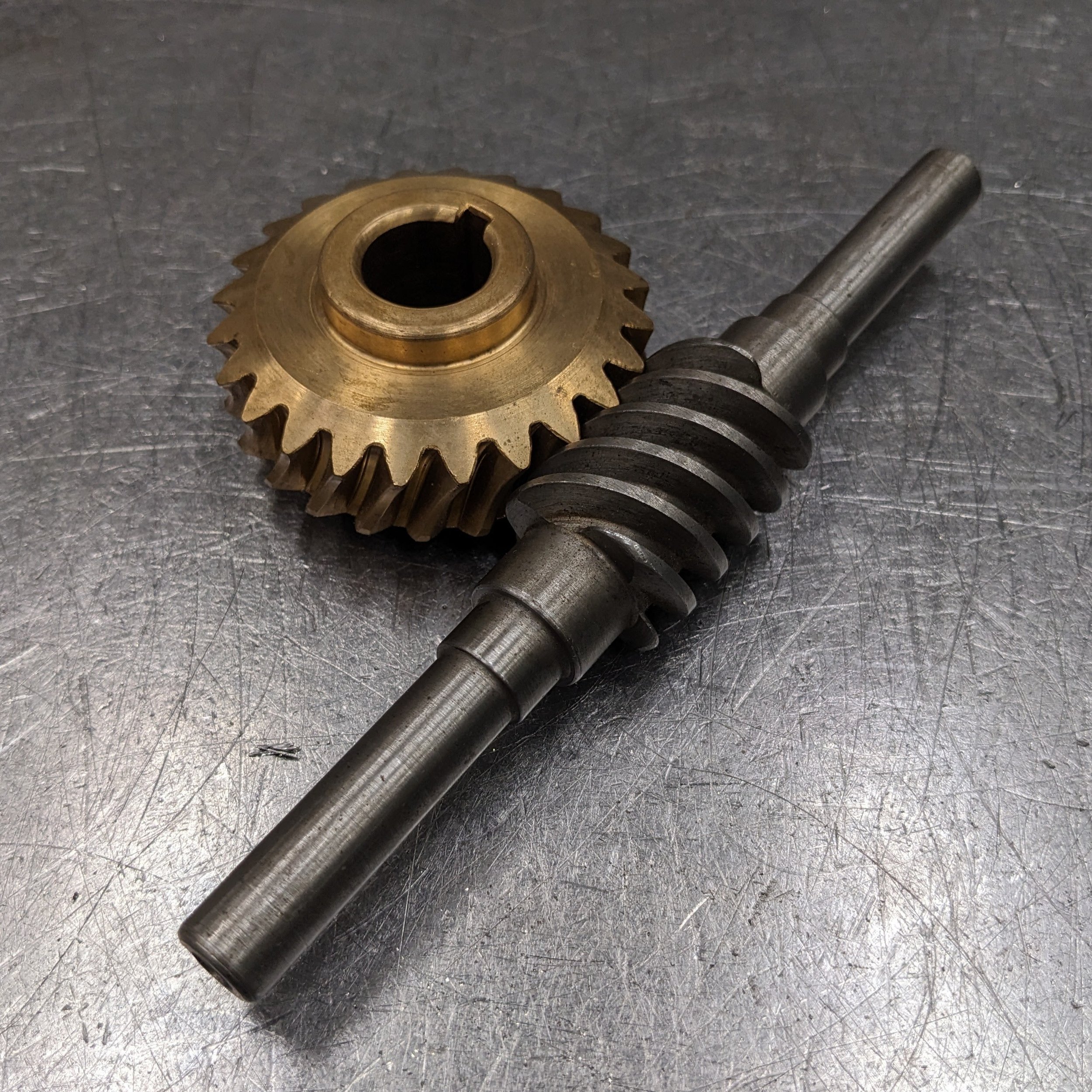 Worm Wheel Gear
