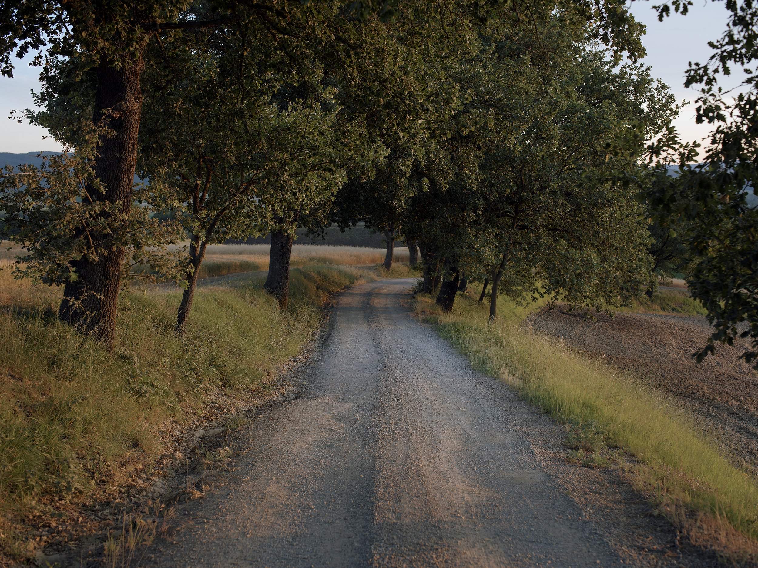 B0002827.jpg