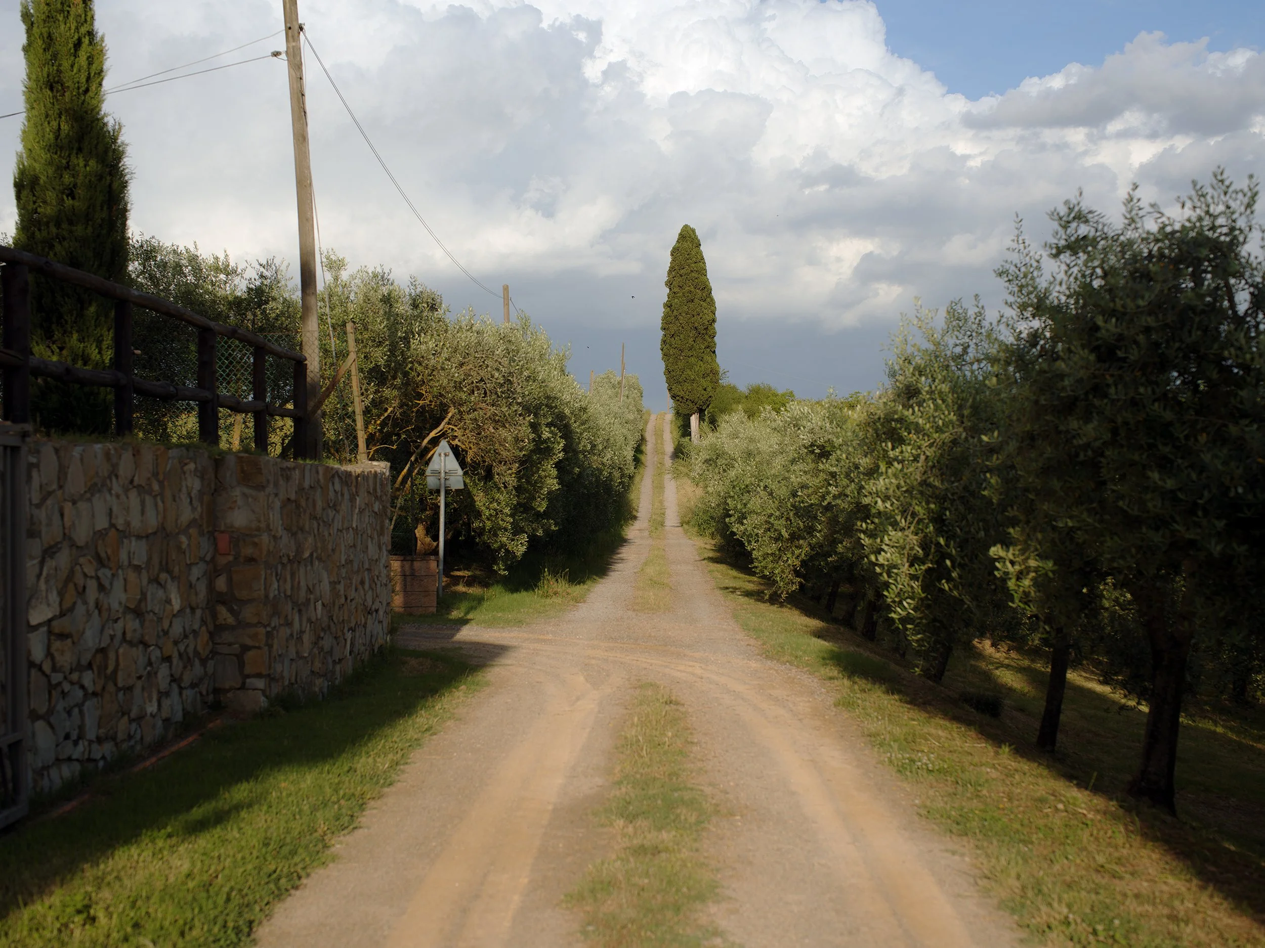 B0002248.jpg