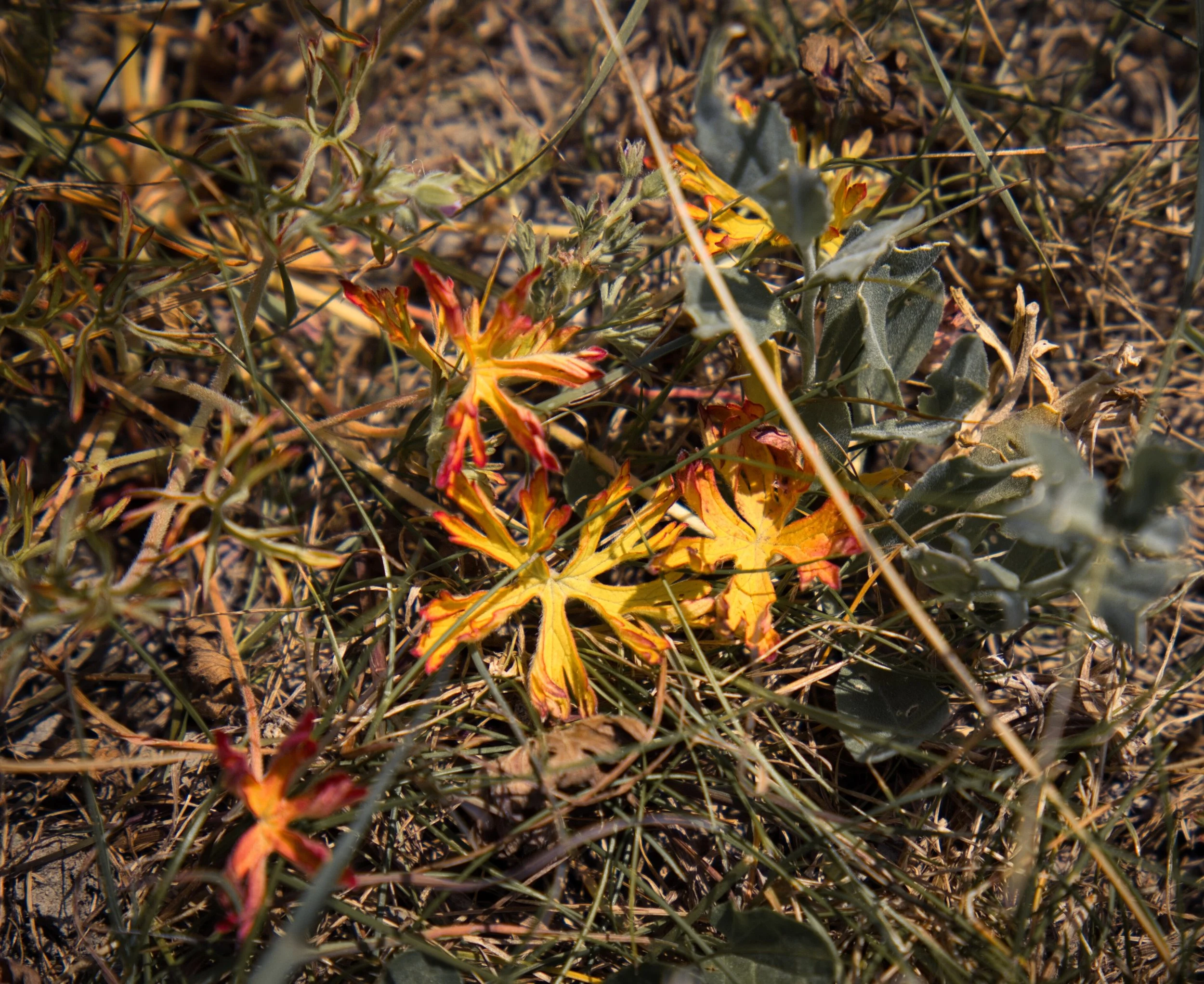 TGA07699 (1).jpg