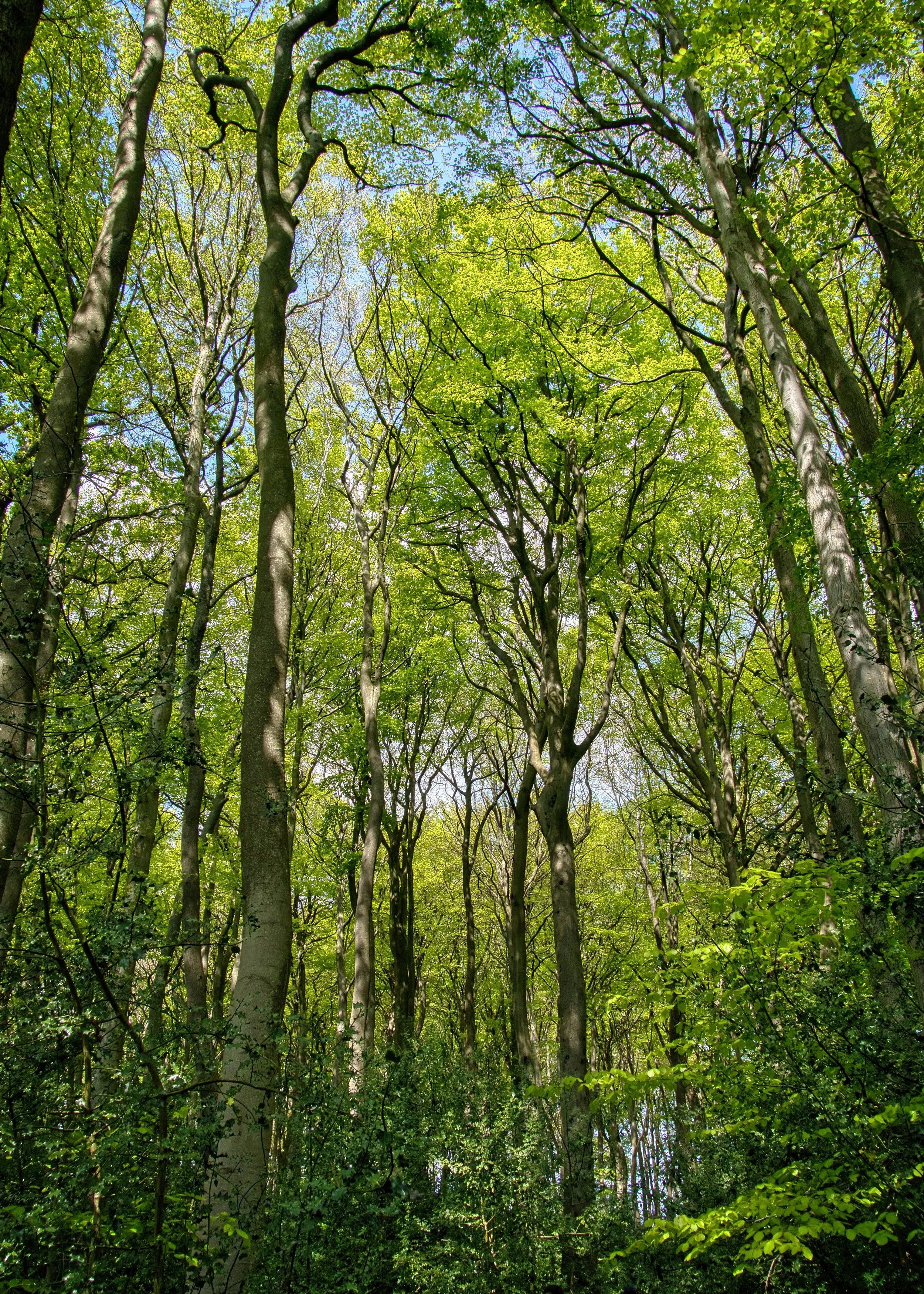 TGA02583_hdr.jpg