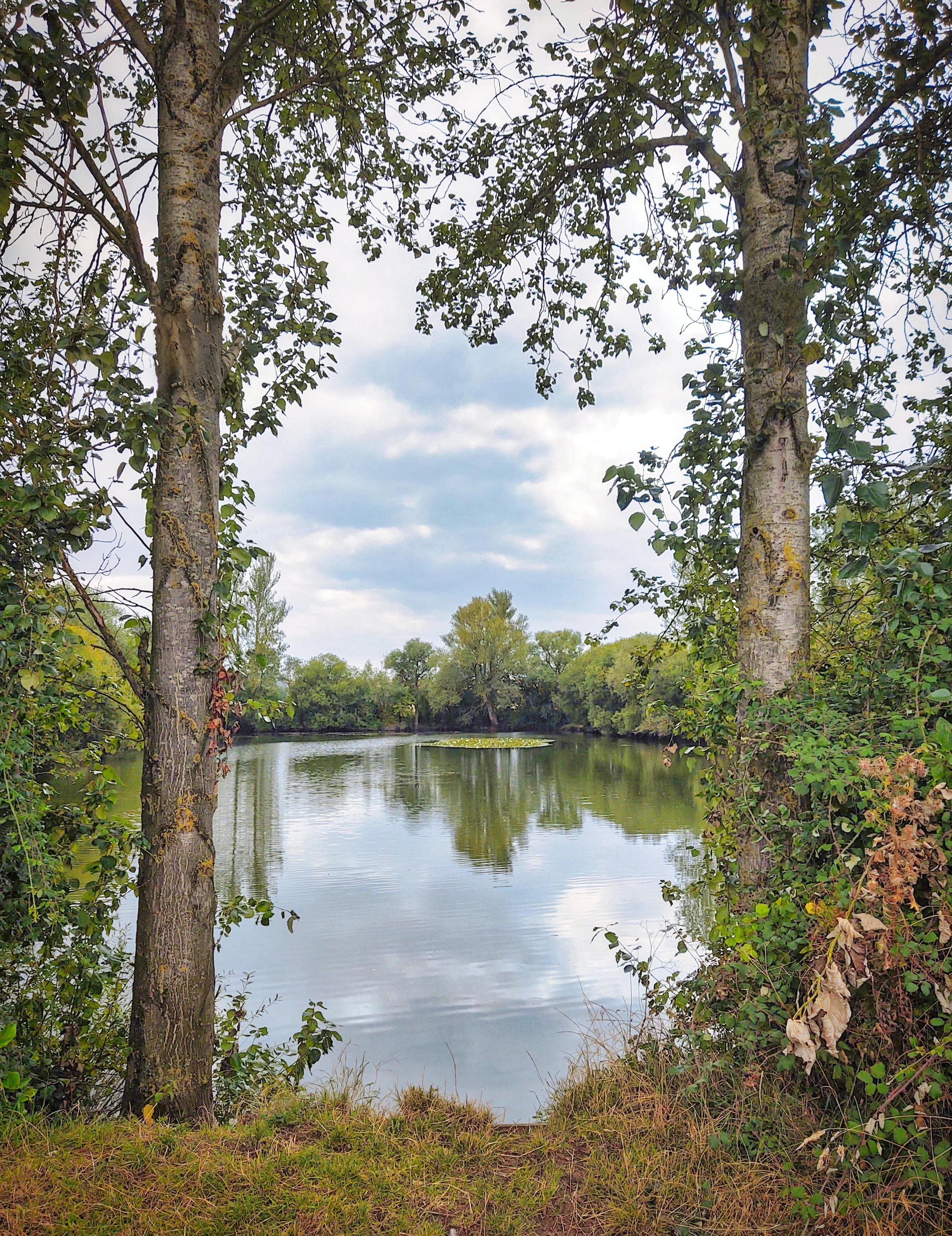 IMG_20240826_134854225_HDR_genErase.jpg