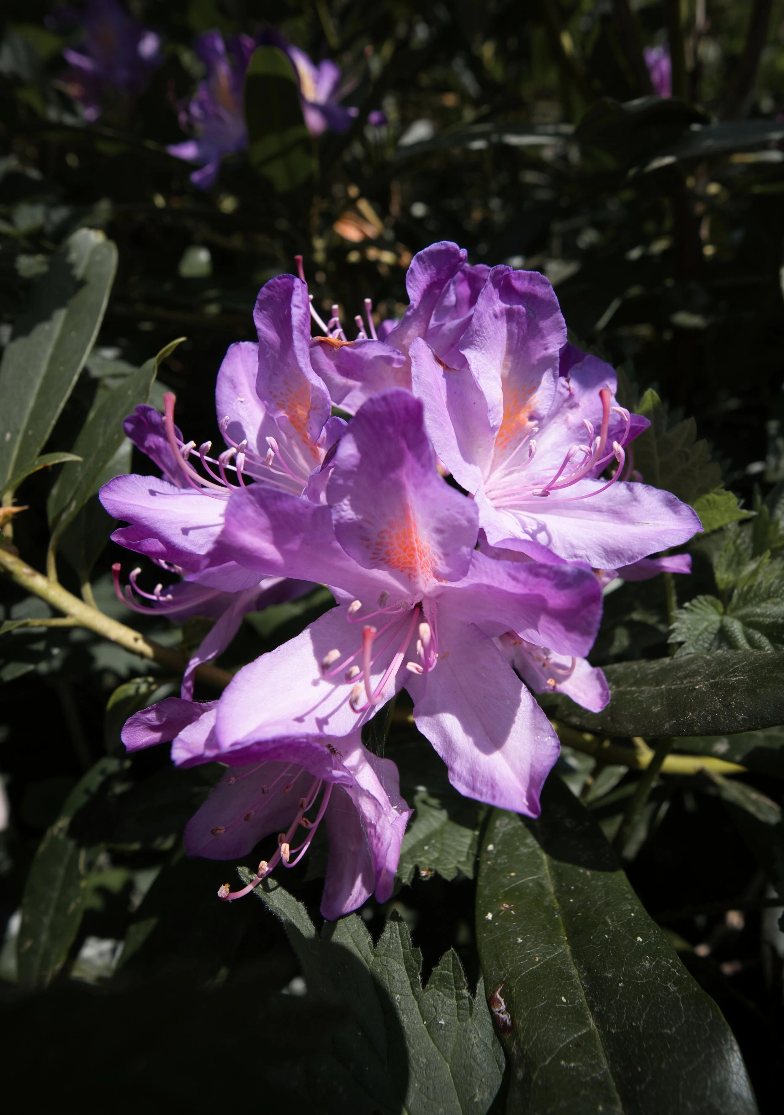 TGA02756.jpg
