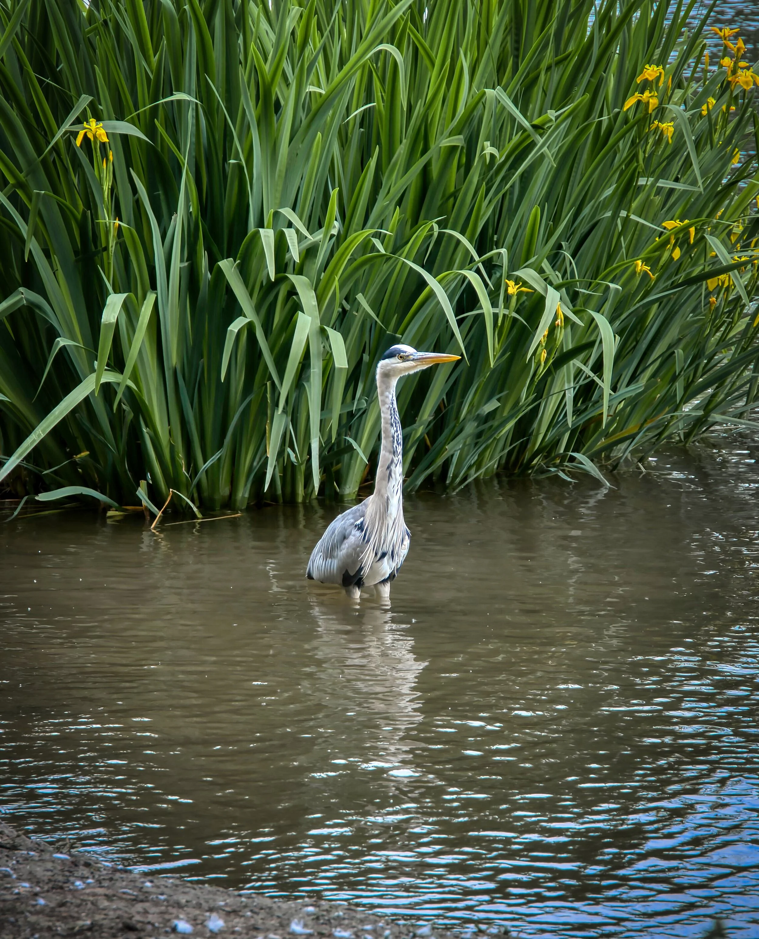 TGA03330_hdr.jpg