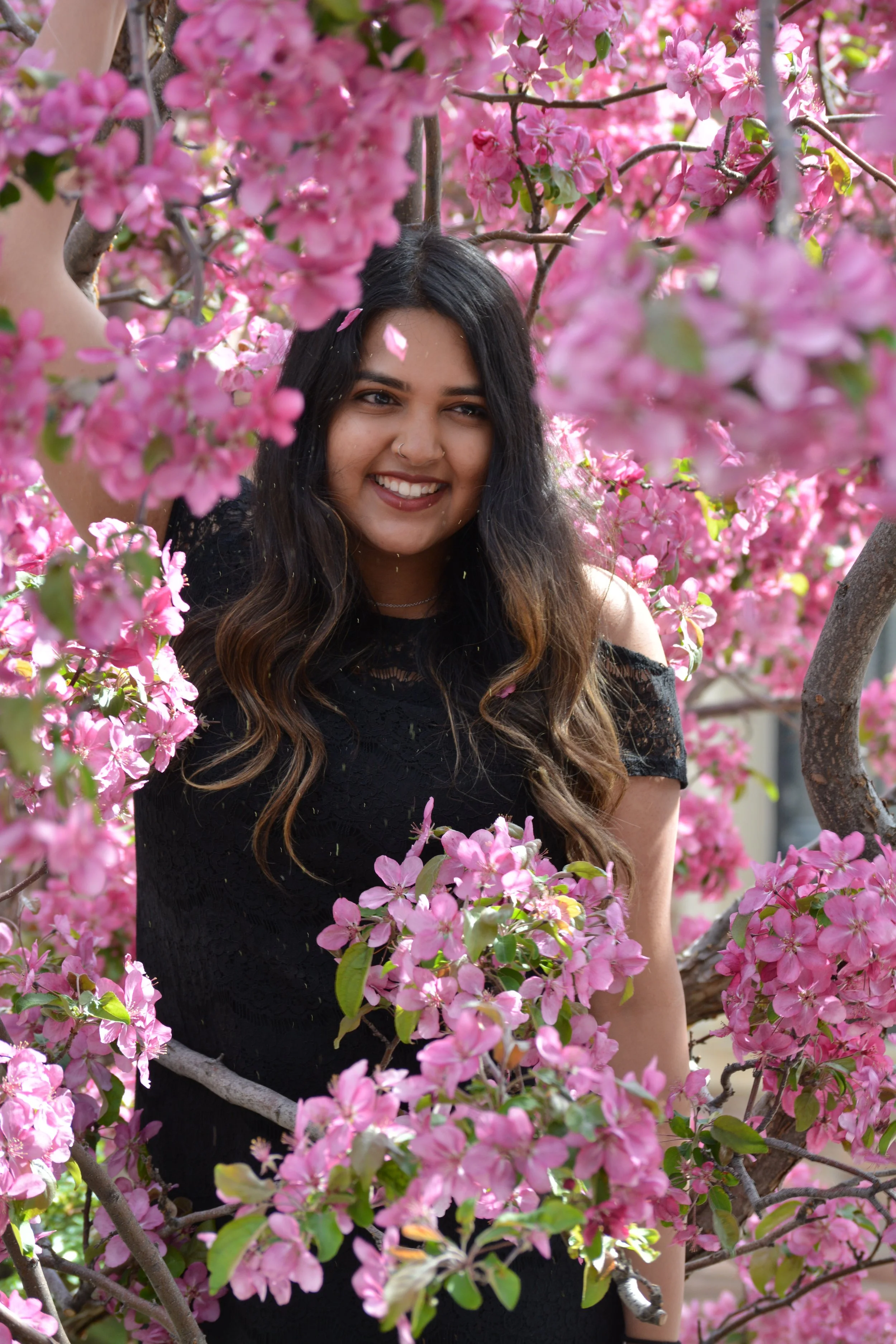 A woman with long, dark hair smiles while posing among pink blooming flowers on a tree. This is a senior portrait taken in Colorado.