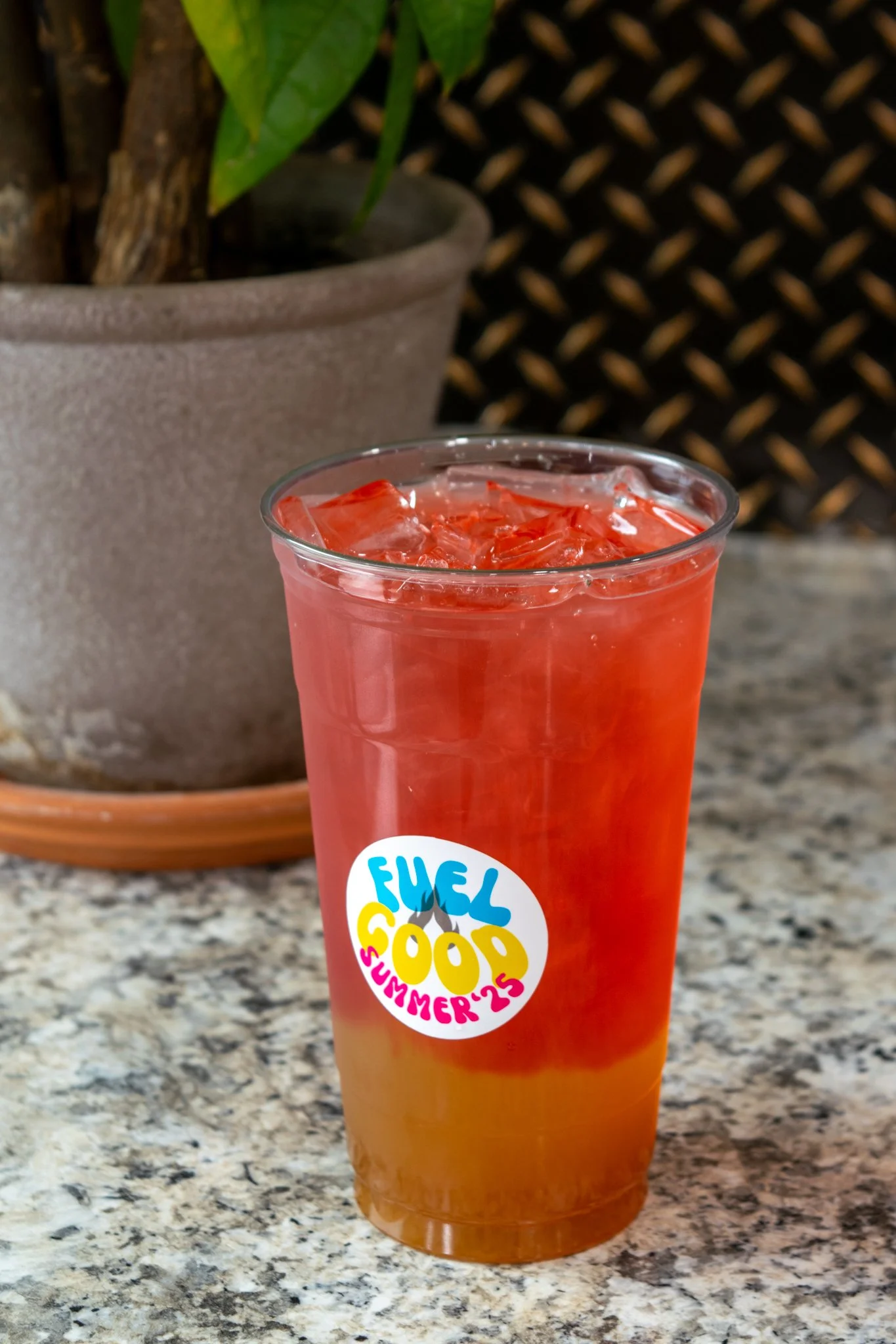 Bojas Punch-6.jpg