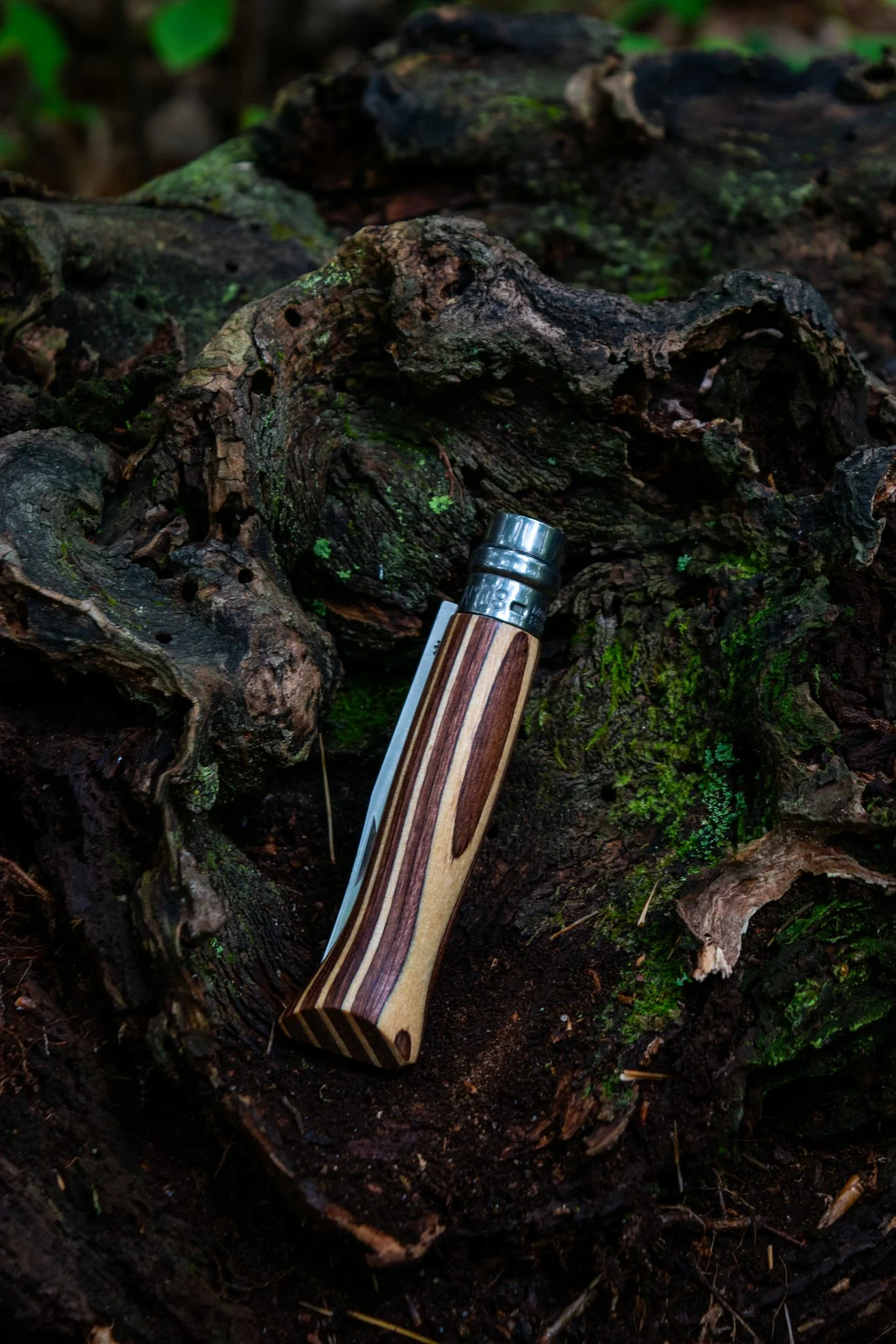 mushroom knife-09.jpg