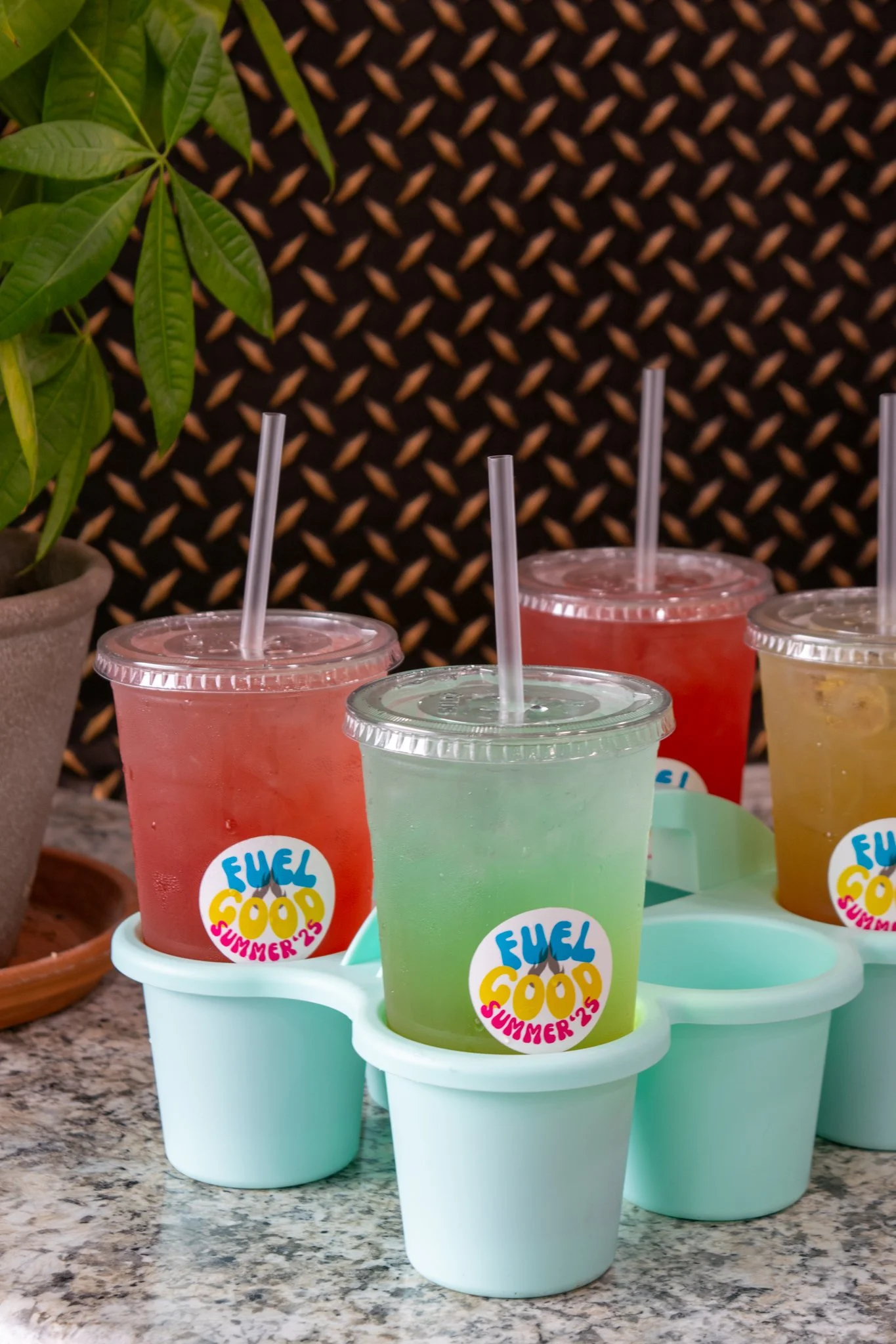 Teas To Go-2.jpg