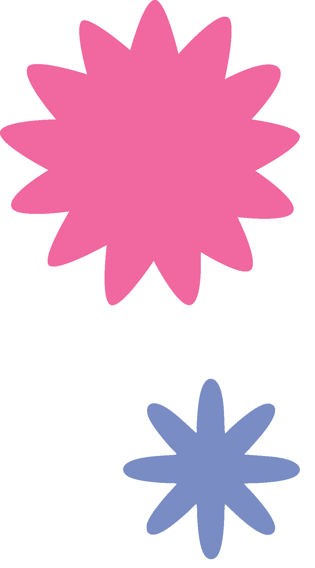 Pink Bloom & Blue Flower.