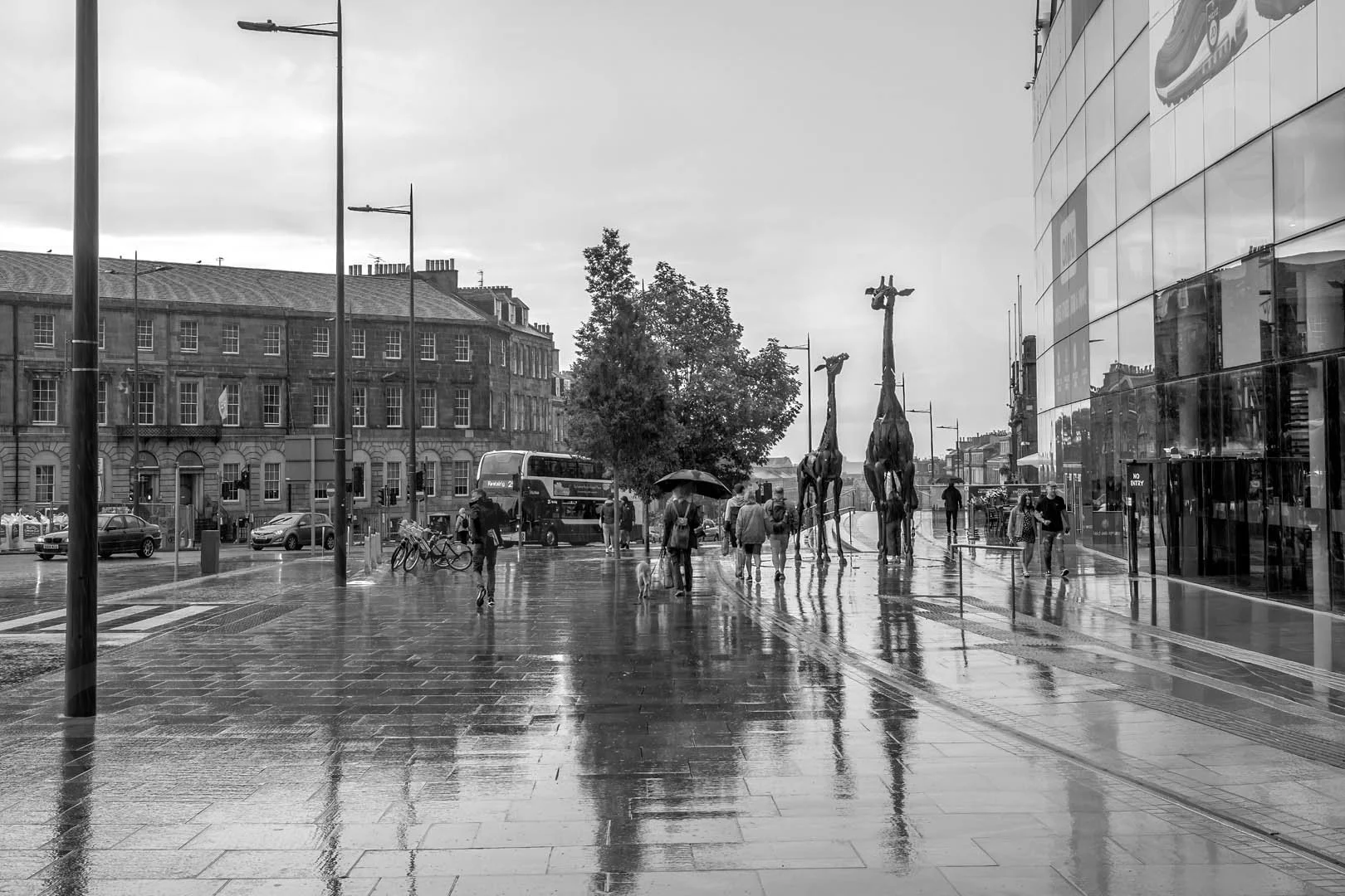 GPI_Giraffes-in-the-City.jpg