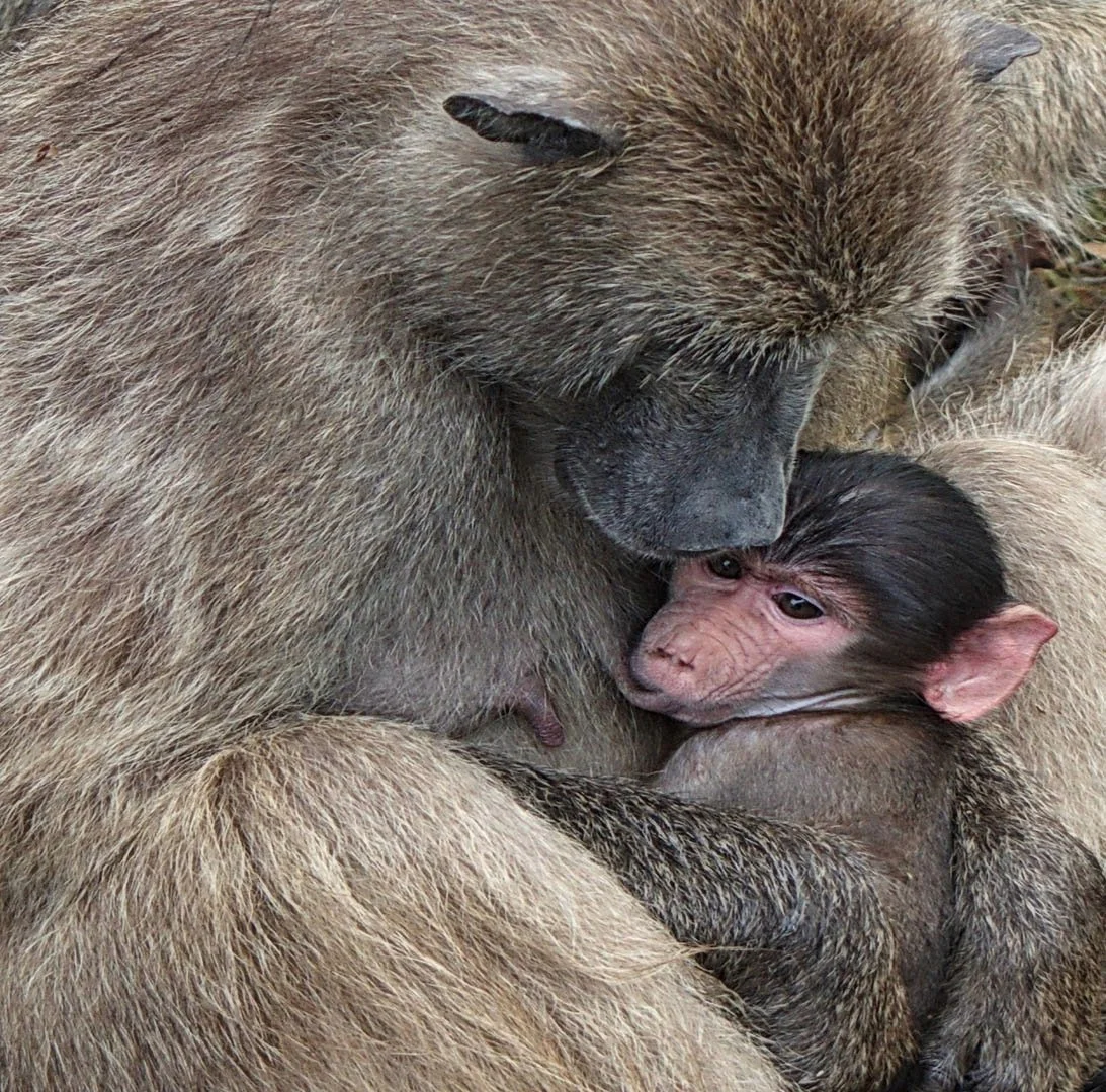 GPI-Mother-and-Child.jpg