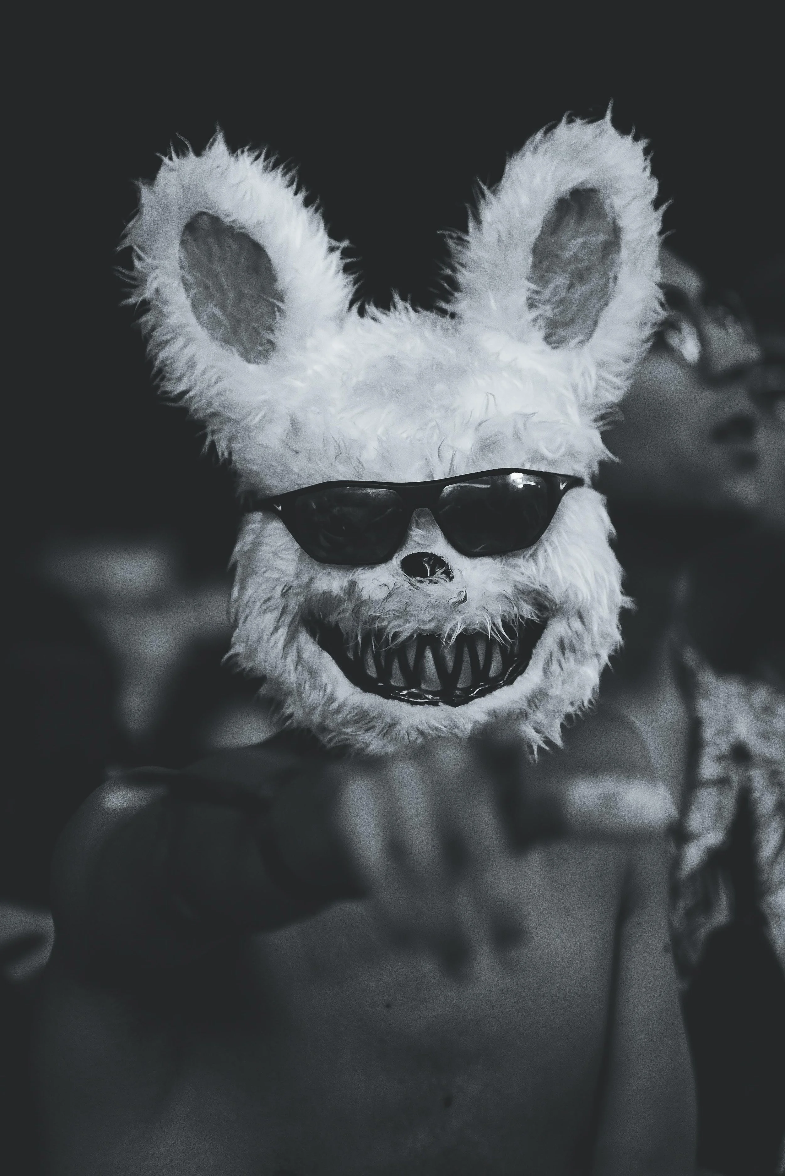 RFM SOMNII, Music festival, Portugal, Bunny