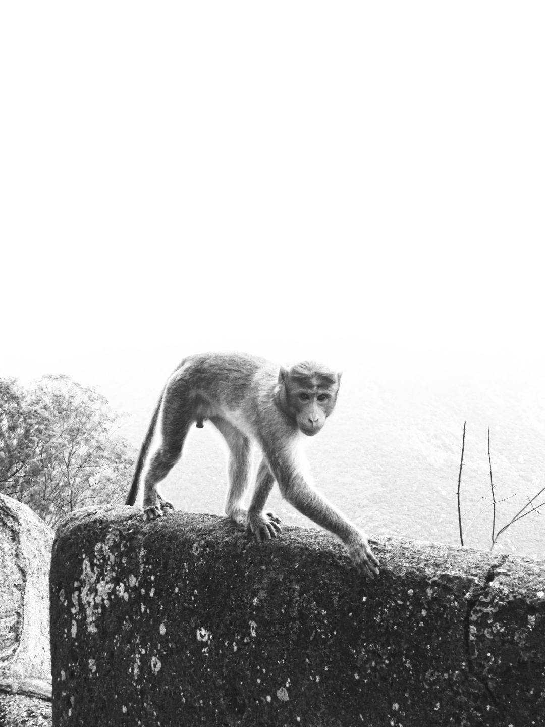 Kalastus Karuselli - 3.png