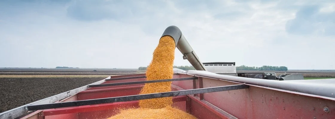 Corn being poured into a grain cart from a discharge pipe in a farm field.