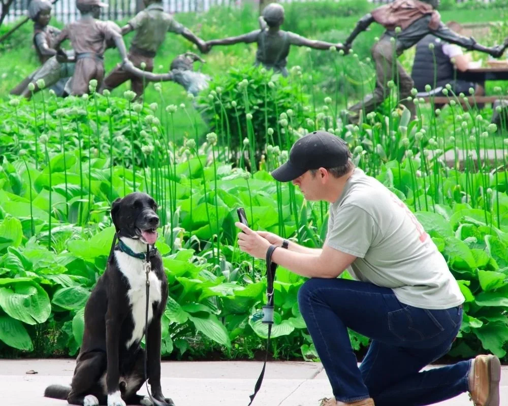A man in a gray T-shirt, black cap, and jeans kneels on a sidewalk taking a picture of a black and white dog. The dog is sitting among large green lily pads and tall green stems. In the background, there is a metal sculpture of a band of children holding hands.