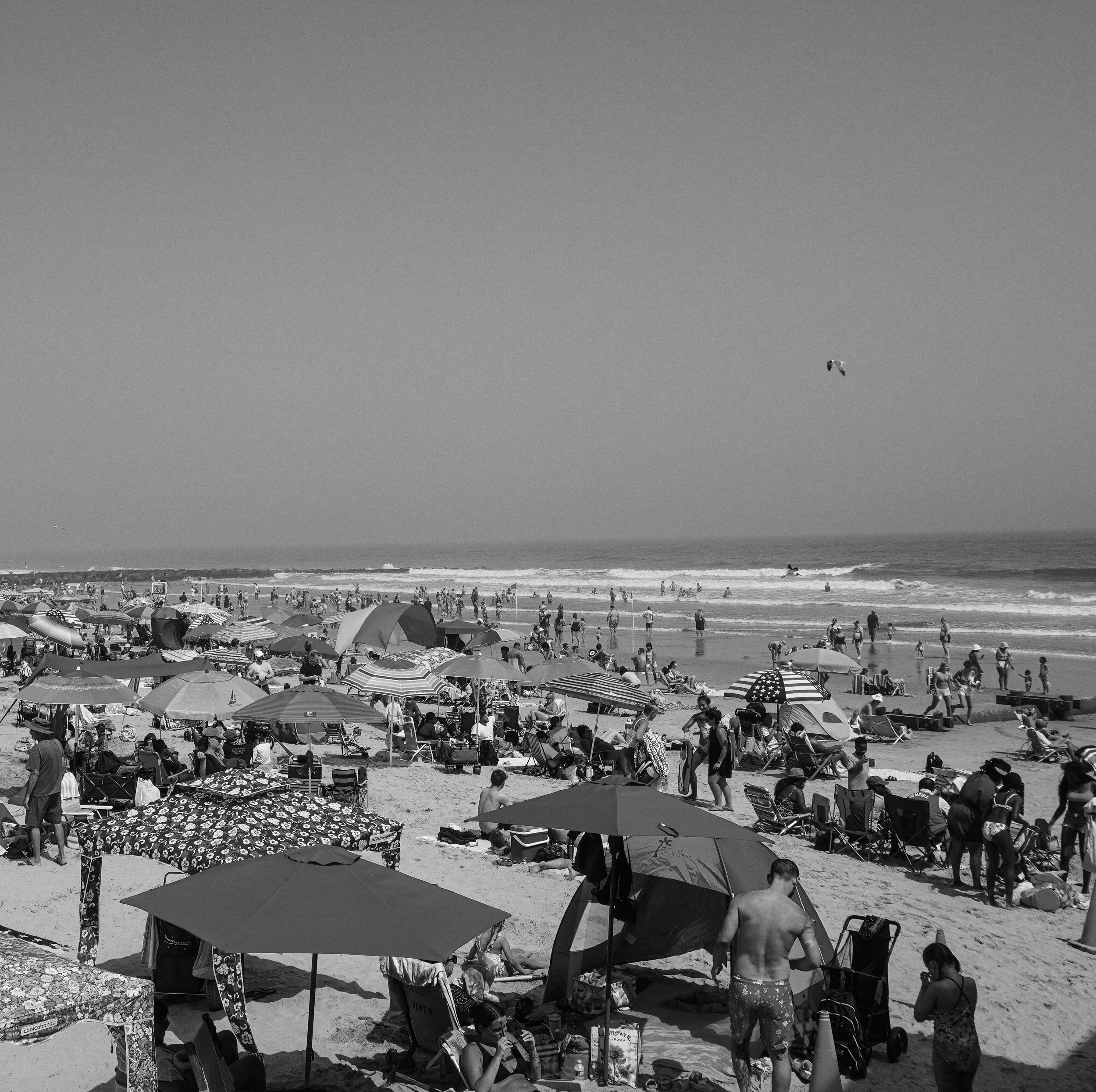 DSC04891.jpg