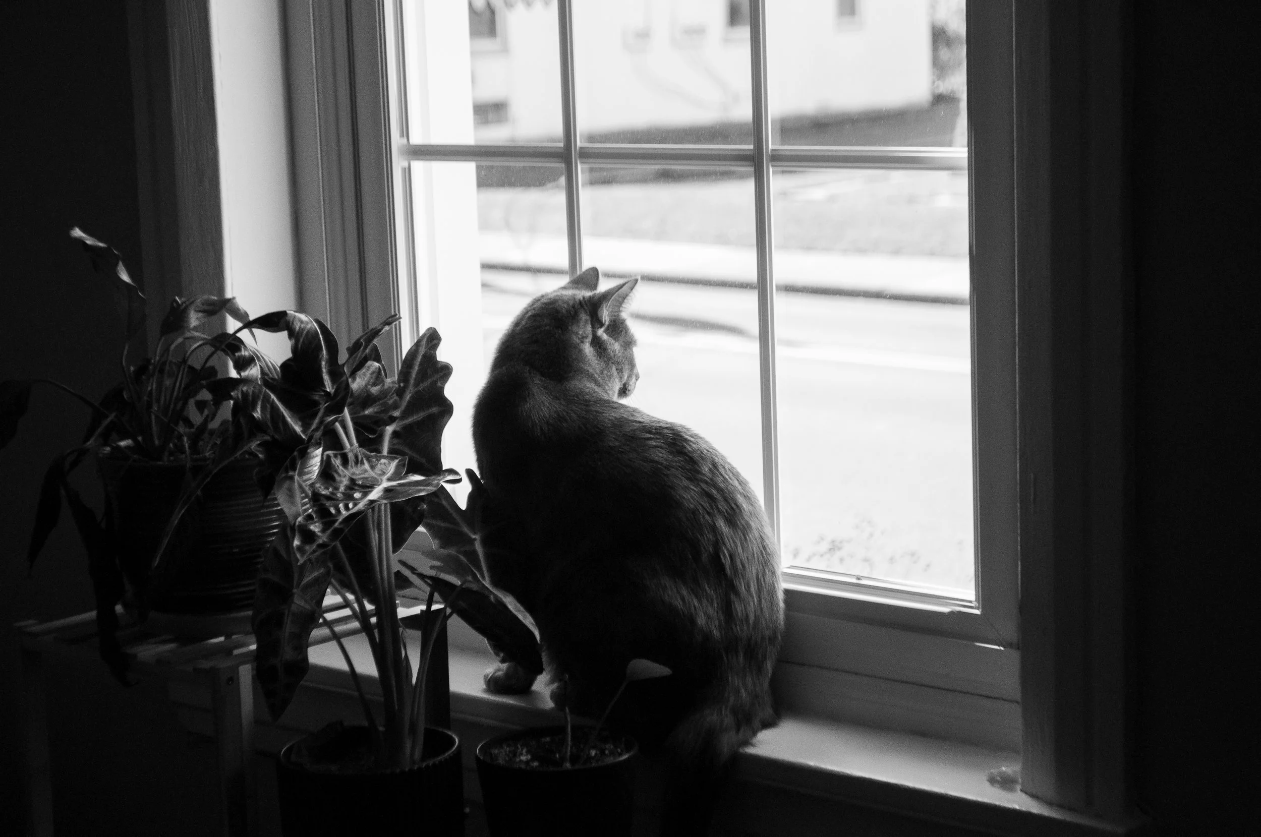 DSC_0129.jpg