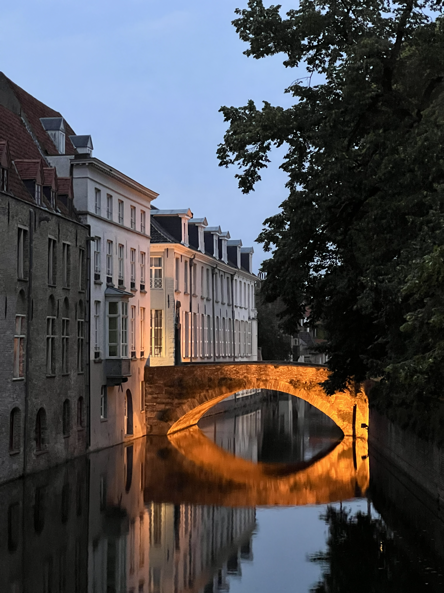 Nighttime view of historic buildings along a canal in Bruges with a stone bridge illuminated by orange lights, reflecting in the water, and large trees on the right side.
