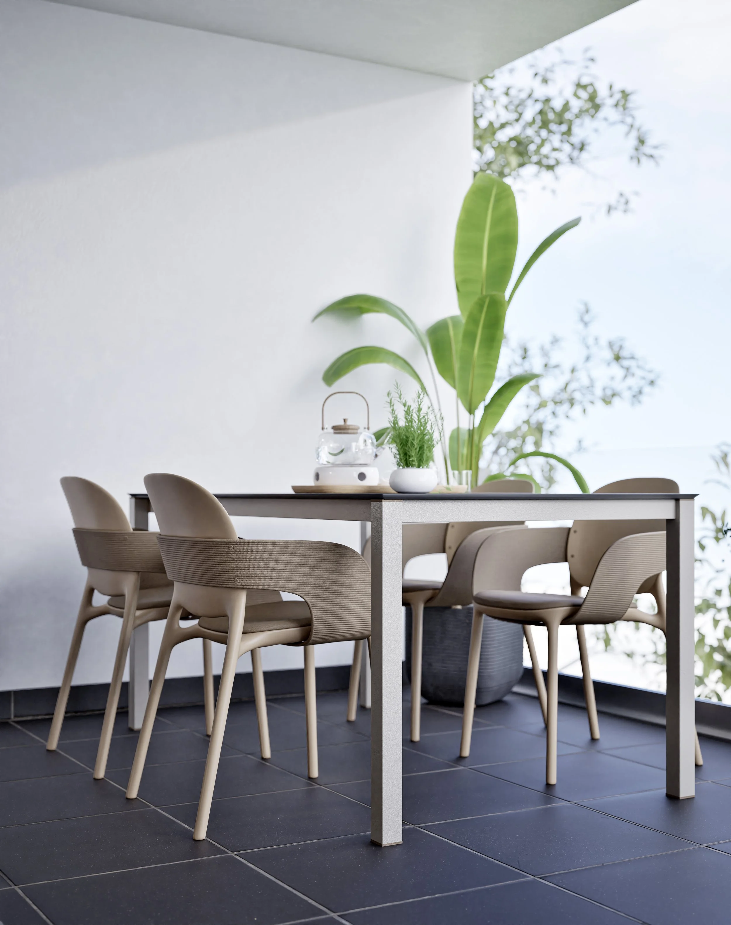 TERRAZA