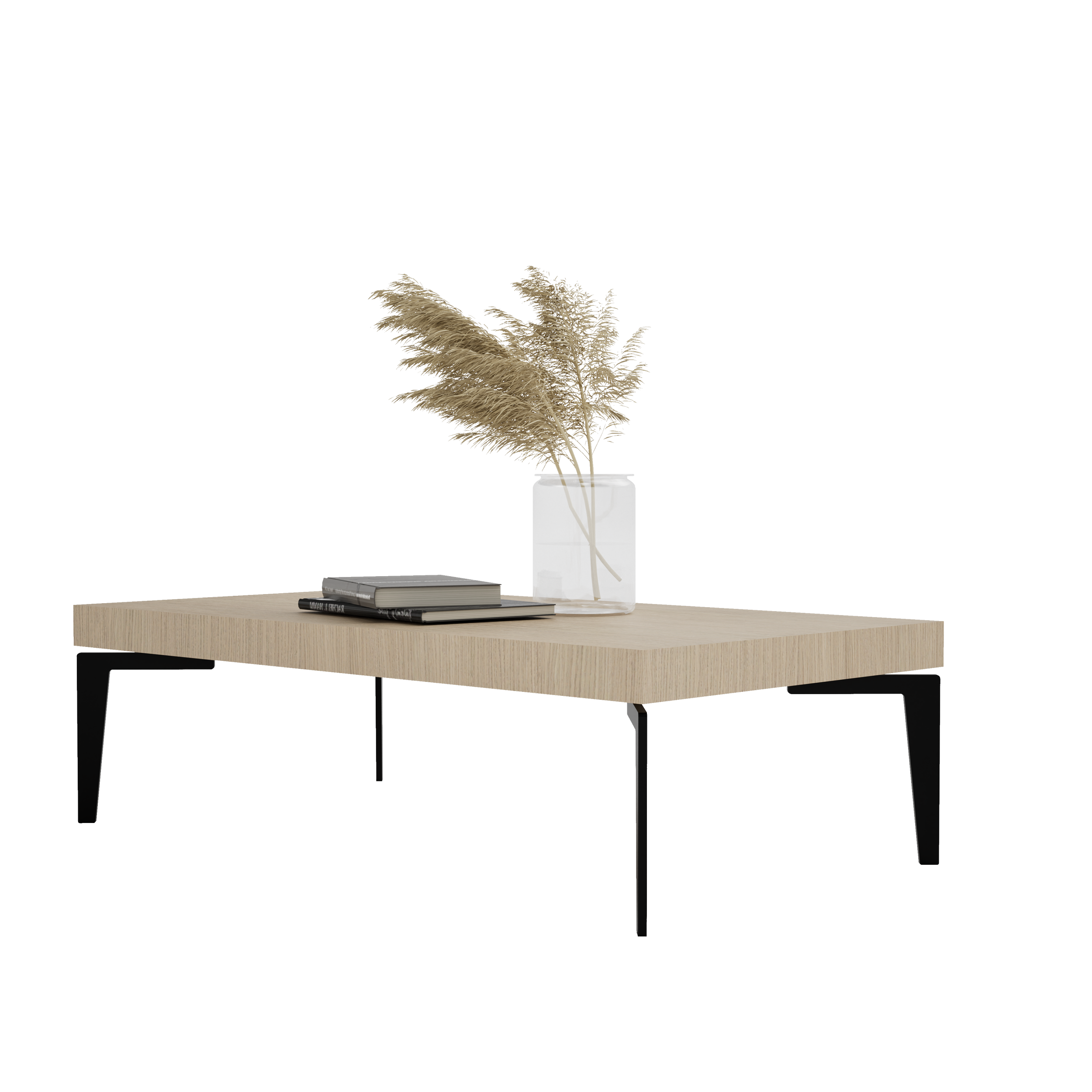02 COFFE TABLE TOMASELLA_000_1.png