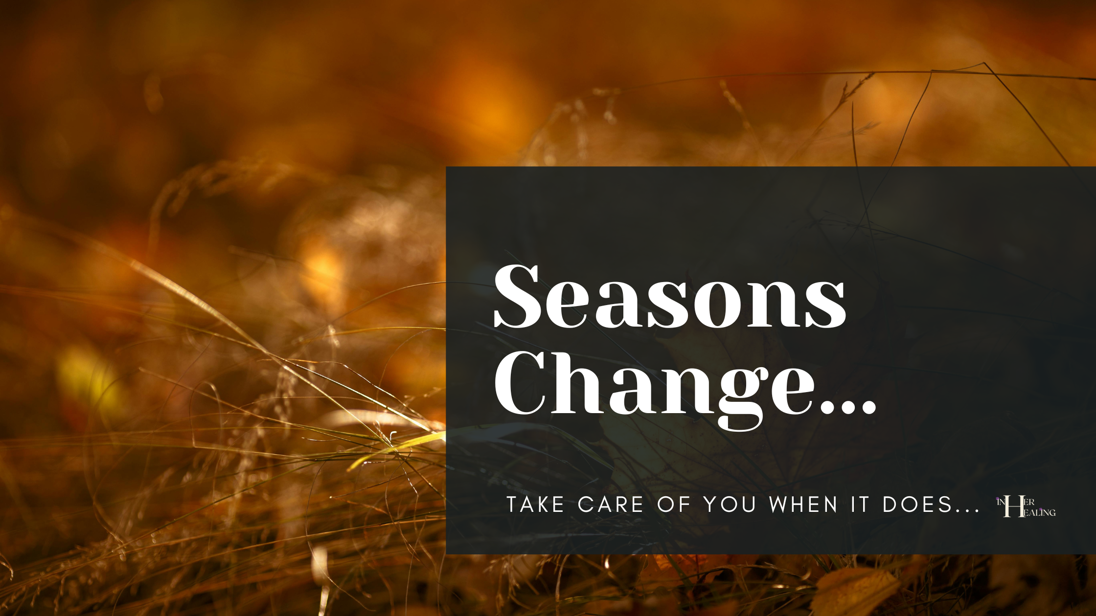 Season’s Change…
