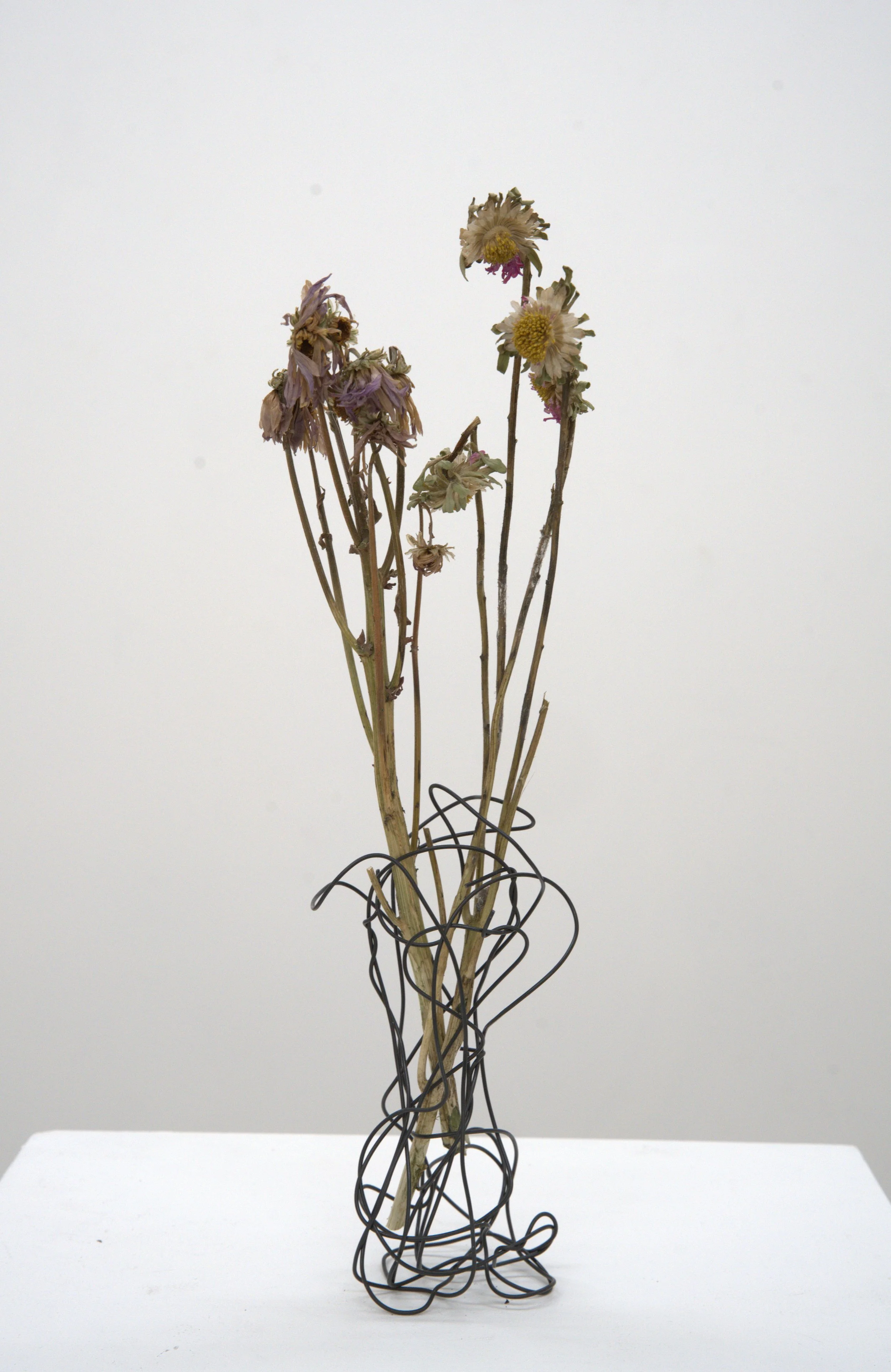 untitled, 2026, 18" x 3" x 3", wires and dead flowers