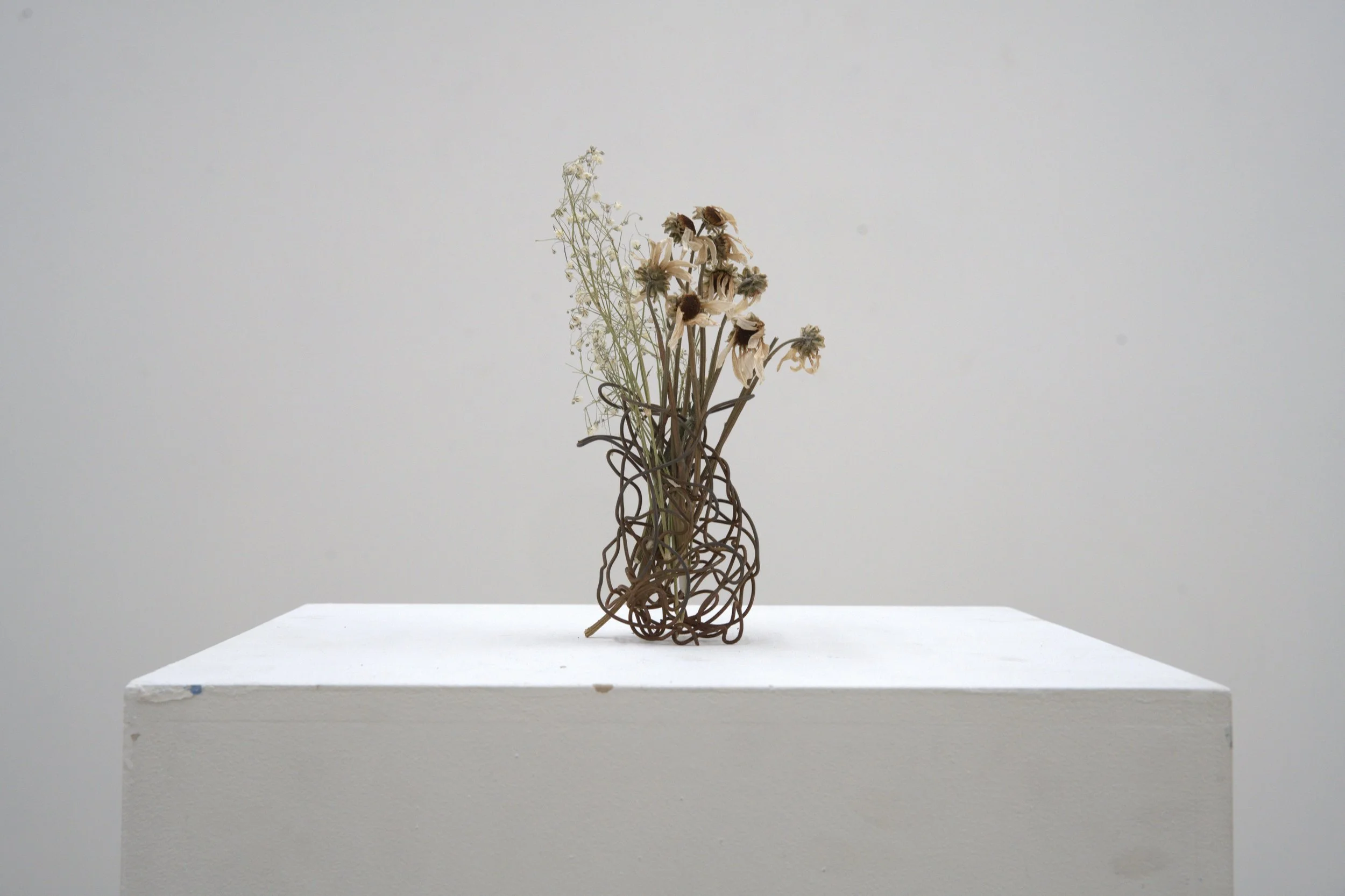 What is left behind, 2026, 2.5" x 2.5" x 8", wires and dead flowers
