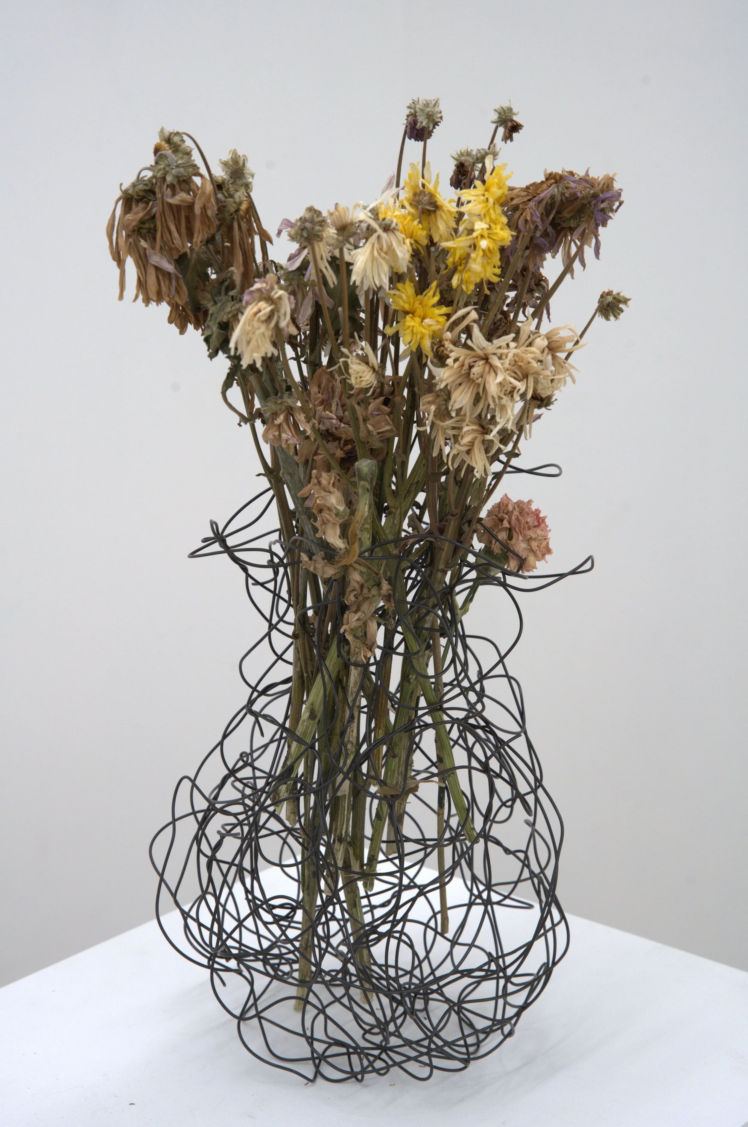 In memory of, 2026, 6" x 6" x 18", wires and dead flowers
