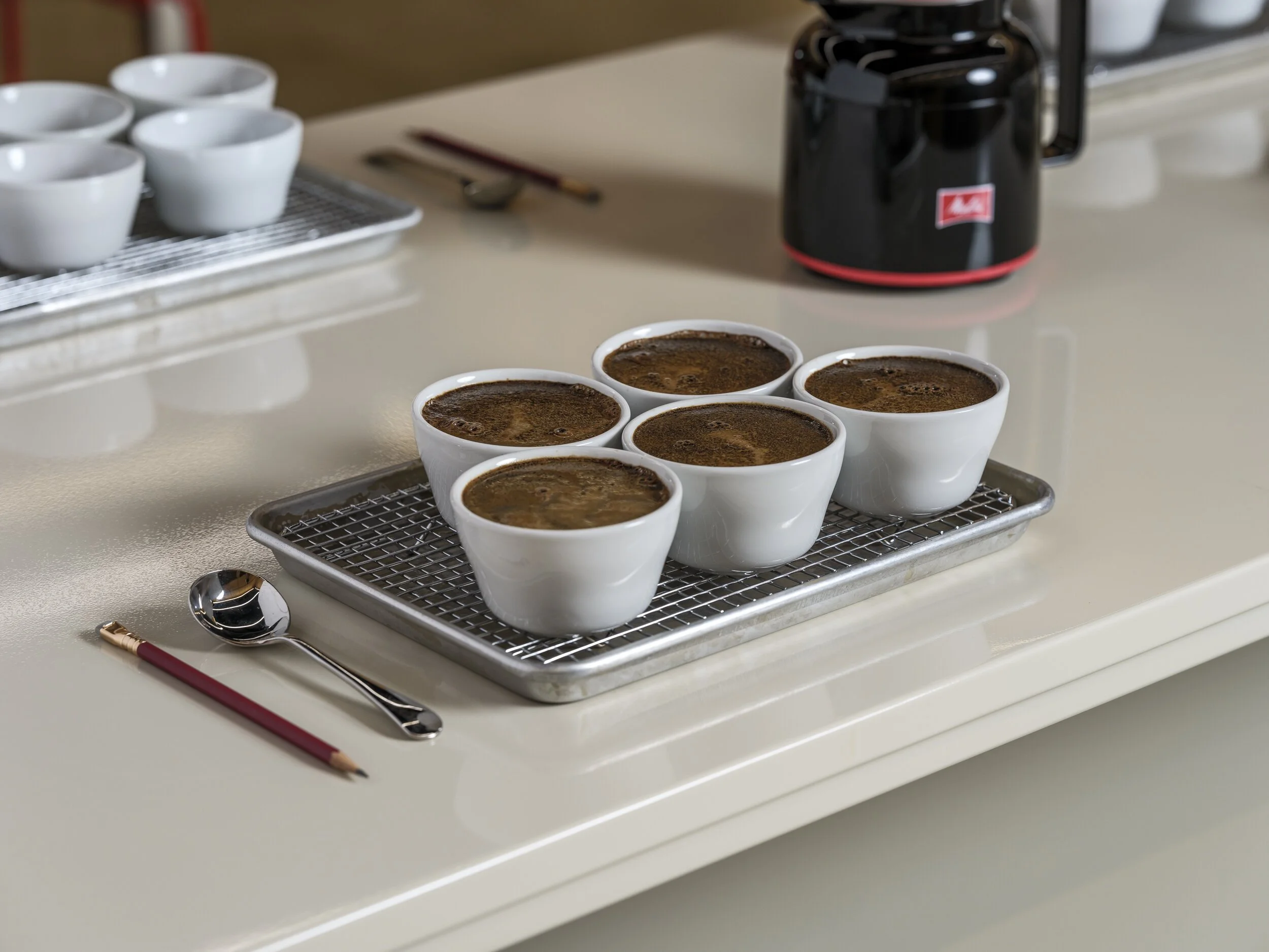 People participating in a coffee tasting event with trays of cups of coffee on a table.