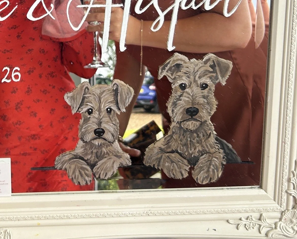 Mirror pet portrait